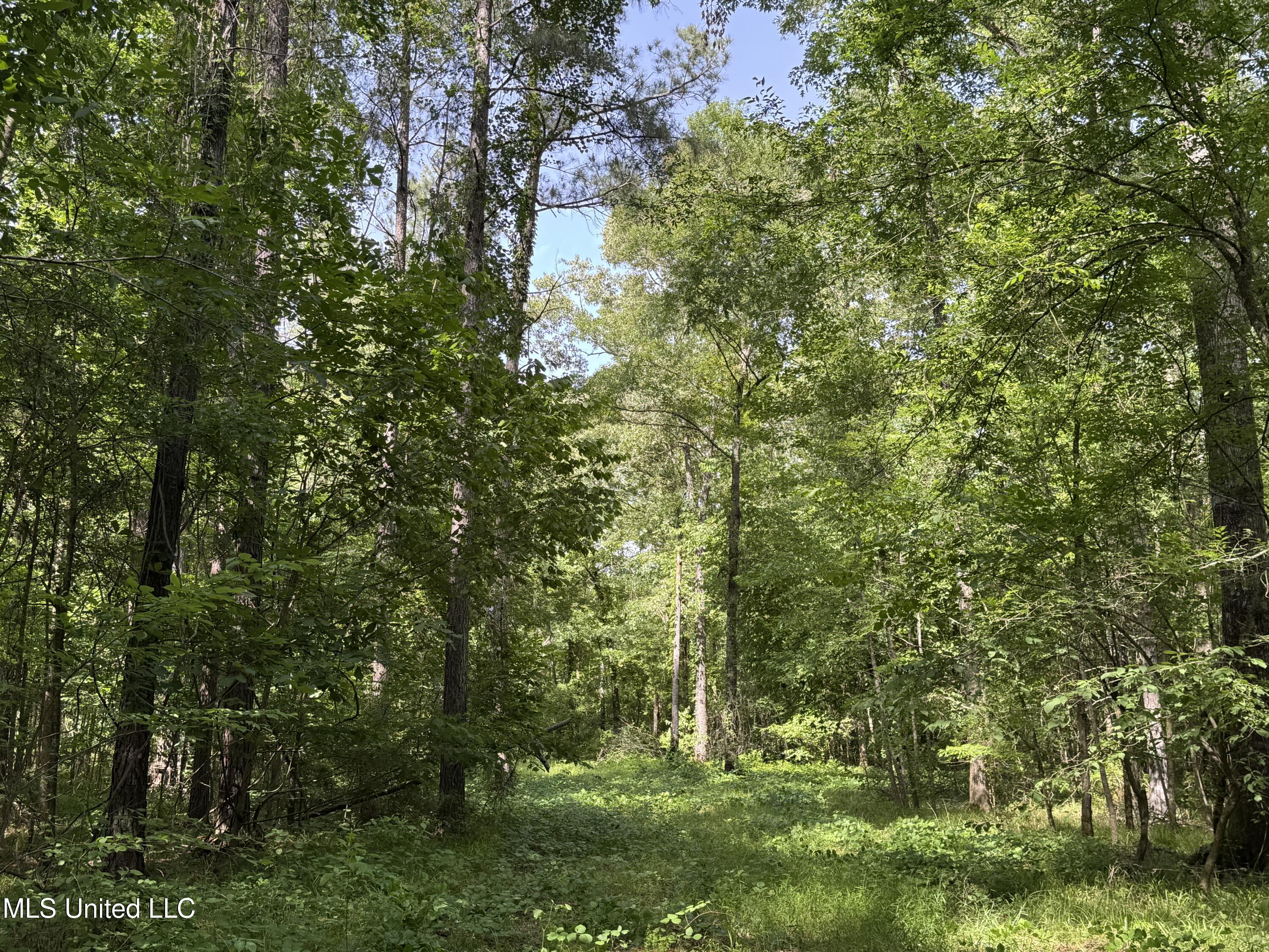 2550 Moncure Road Property Photo 27