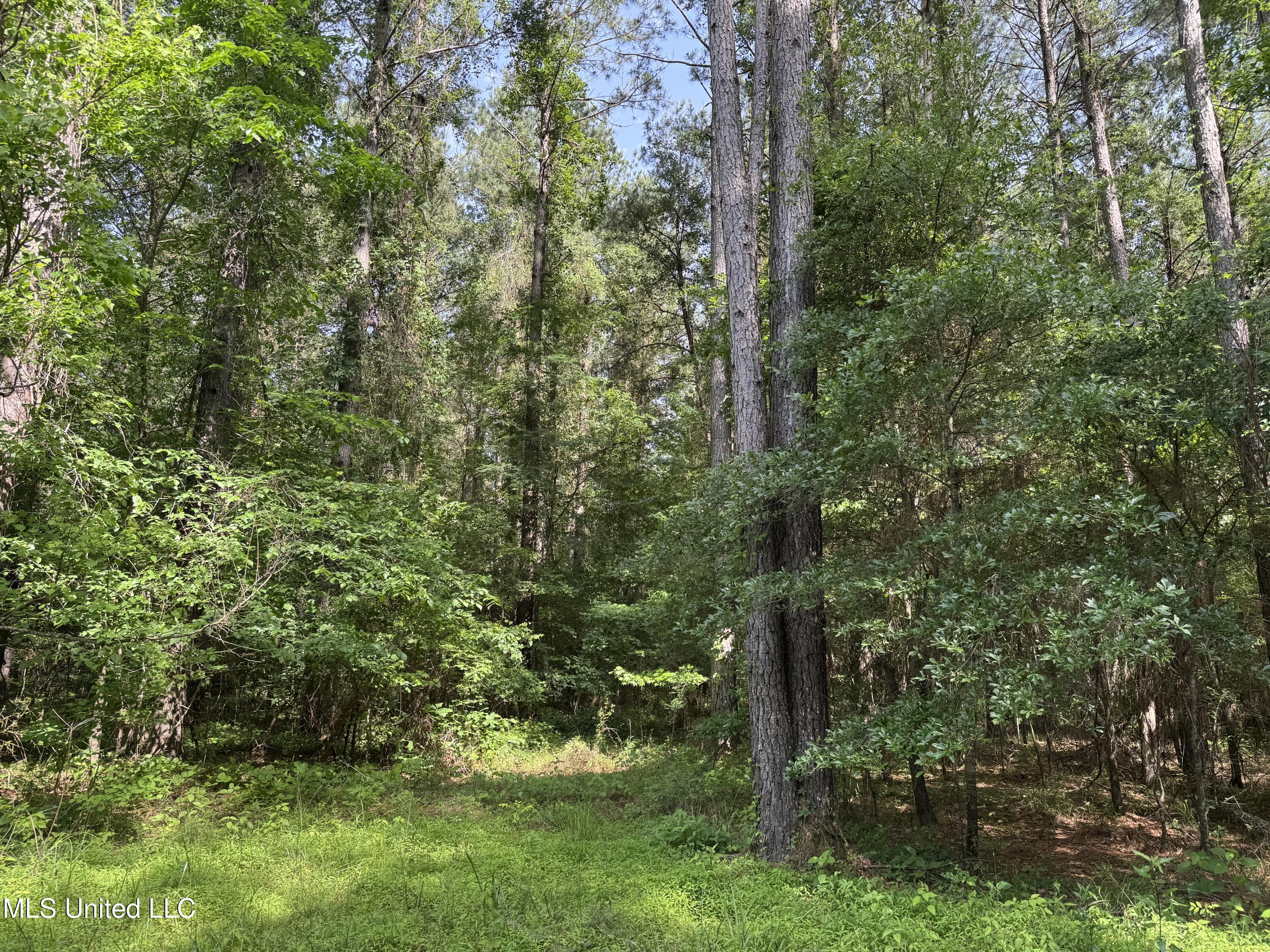 2550 Moncure Road Property Photo 28