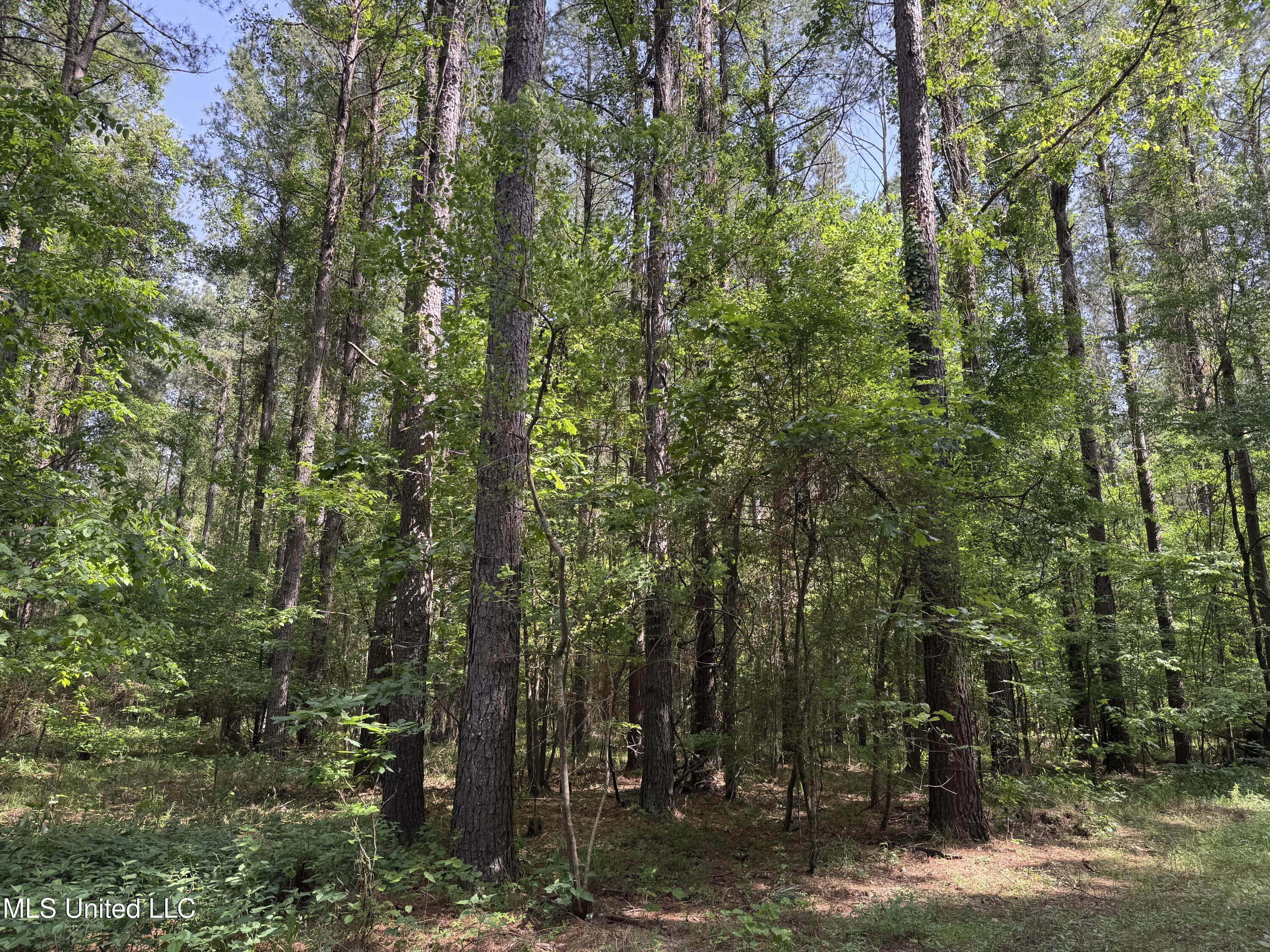 2550 Moncure Road Property Photo 29
