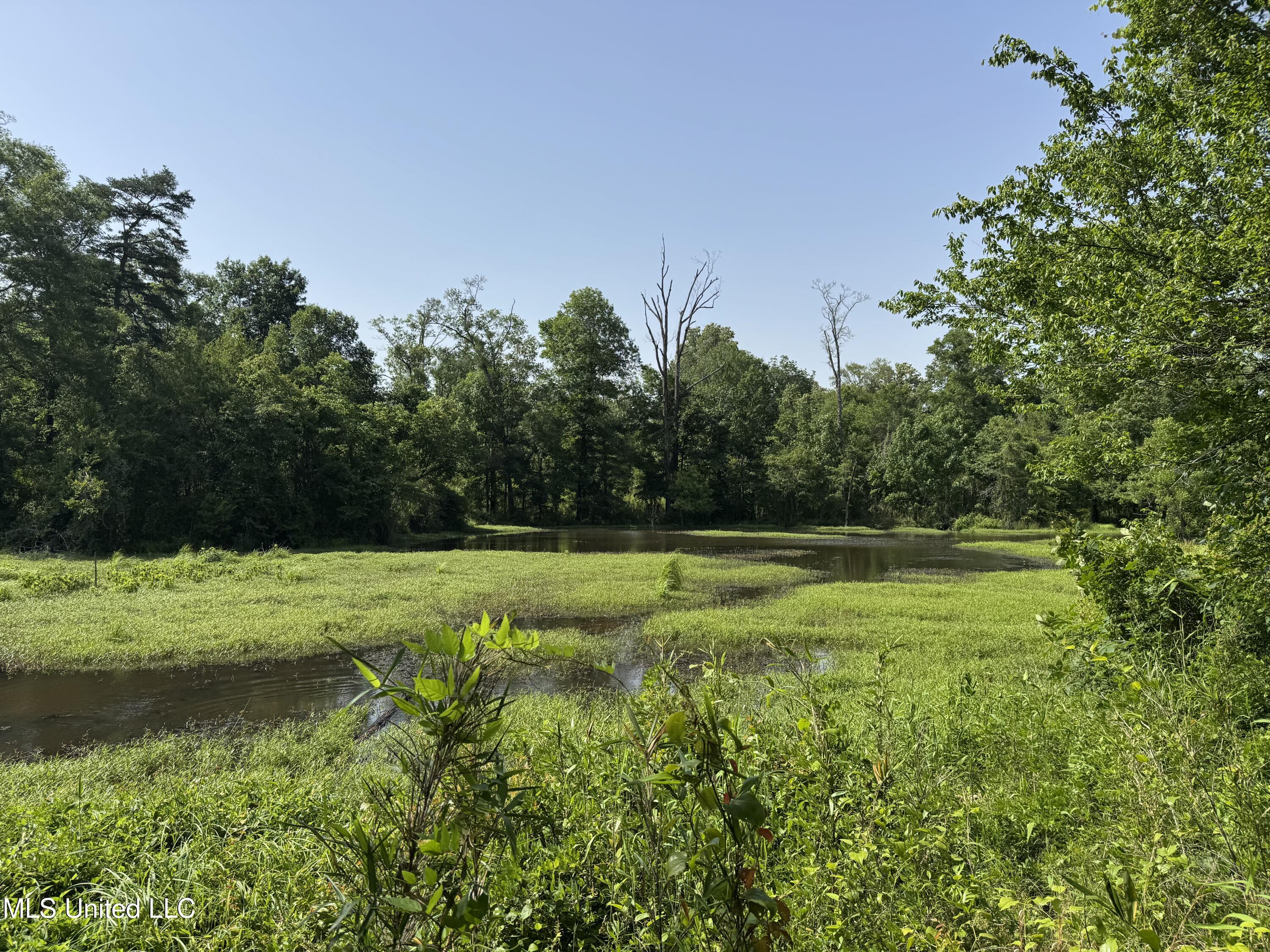 2550 Moncure Road Property Photo 35