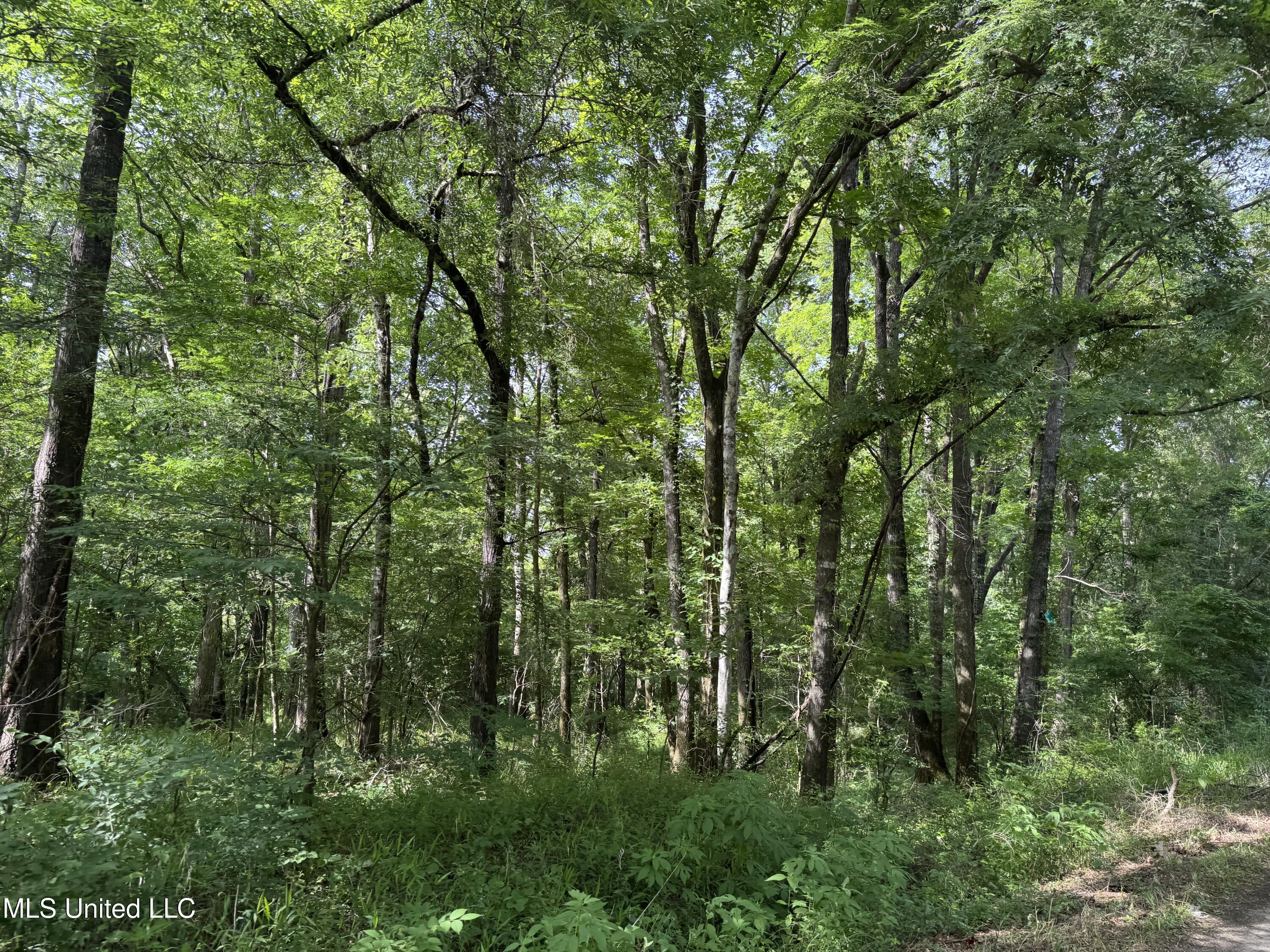 2550 Moncure Road Property Photo 37