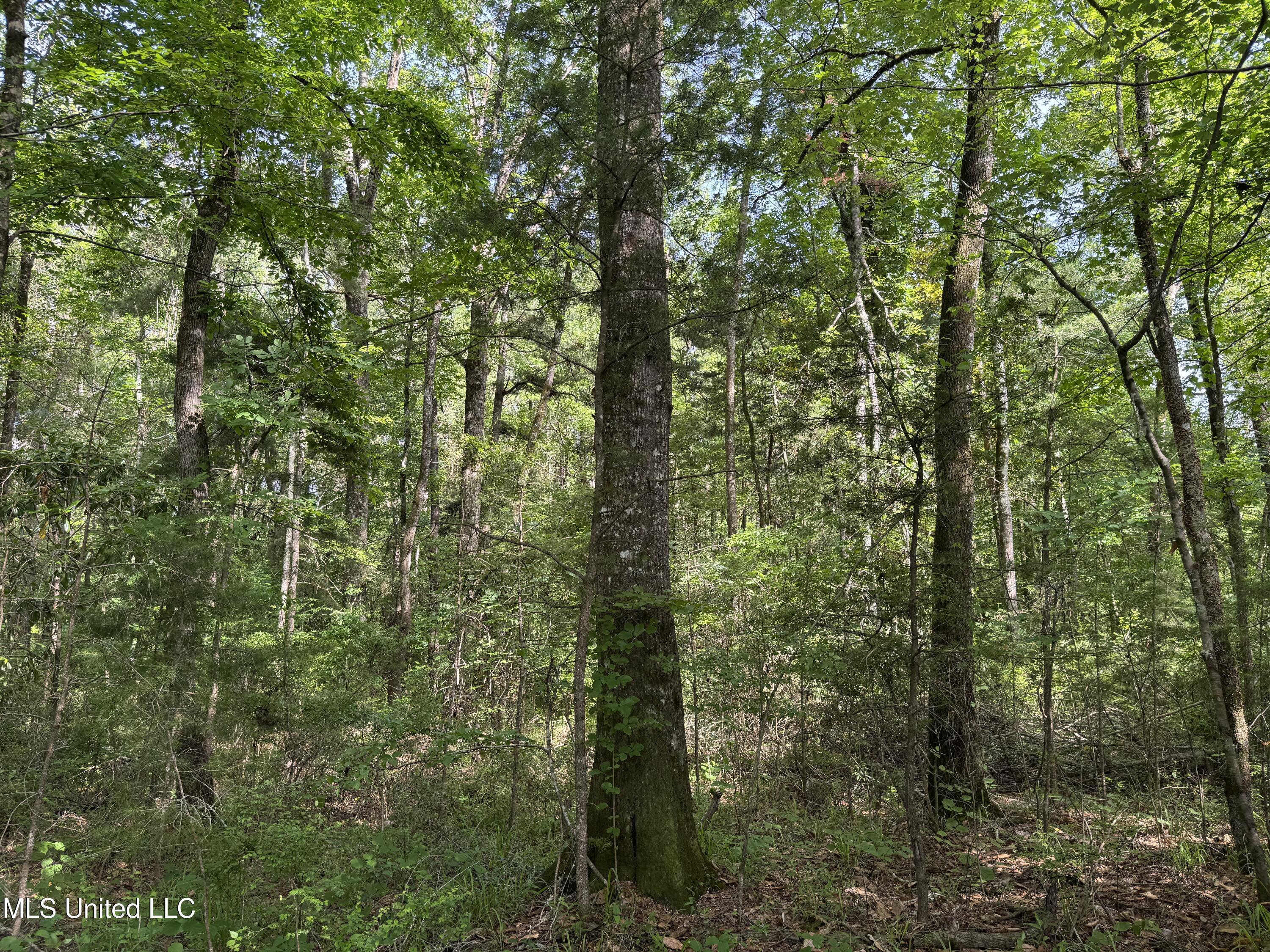 2550 Moncure Road Property Photo 42