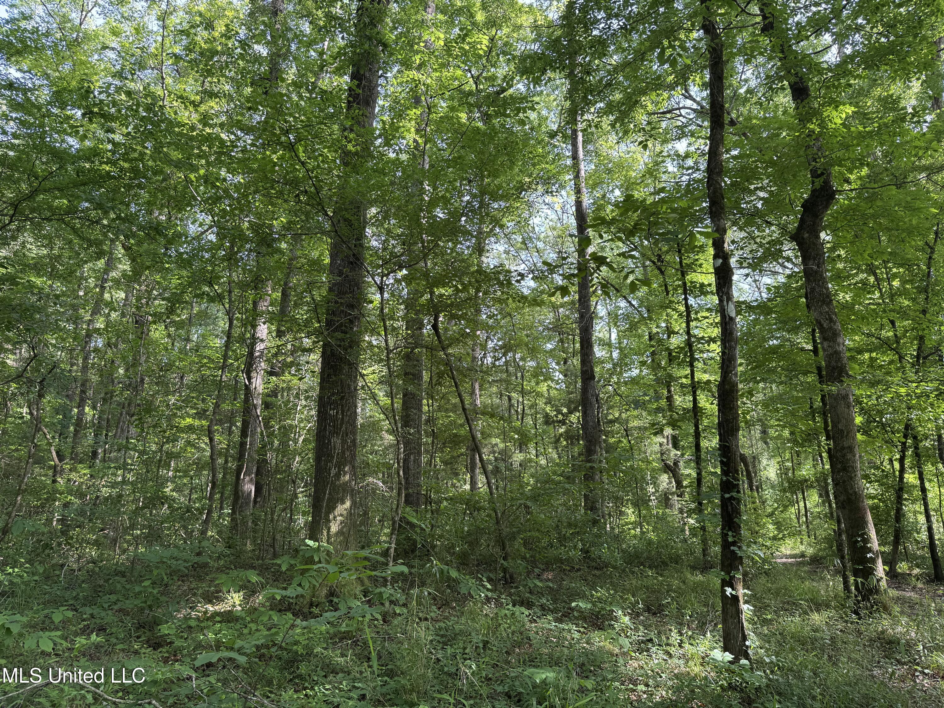 2550 Moncure Road Property Photo 49