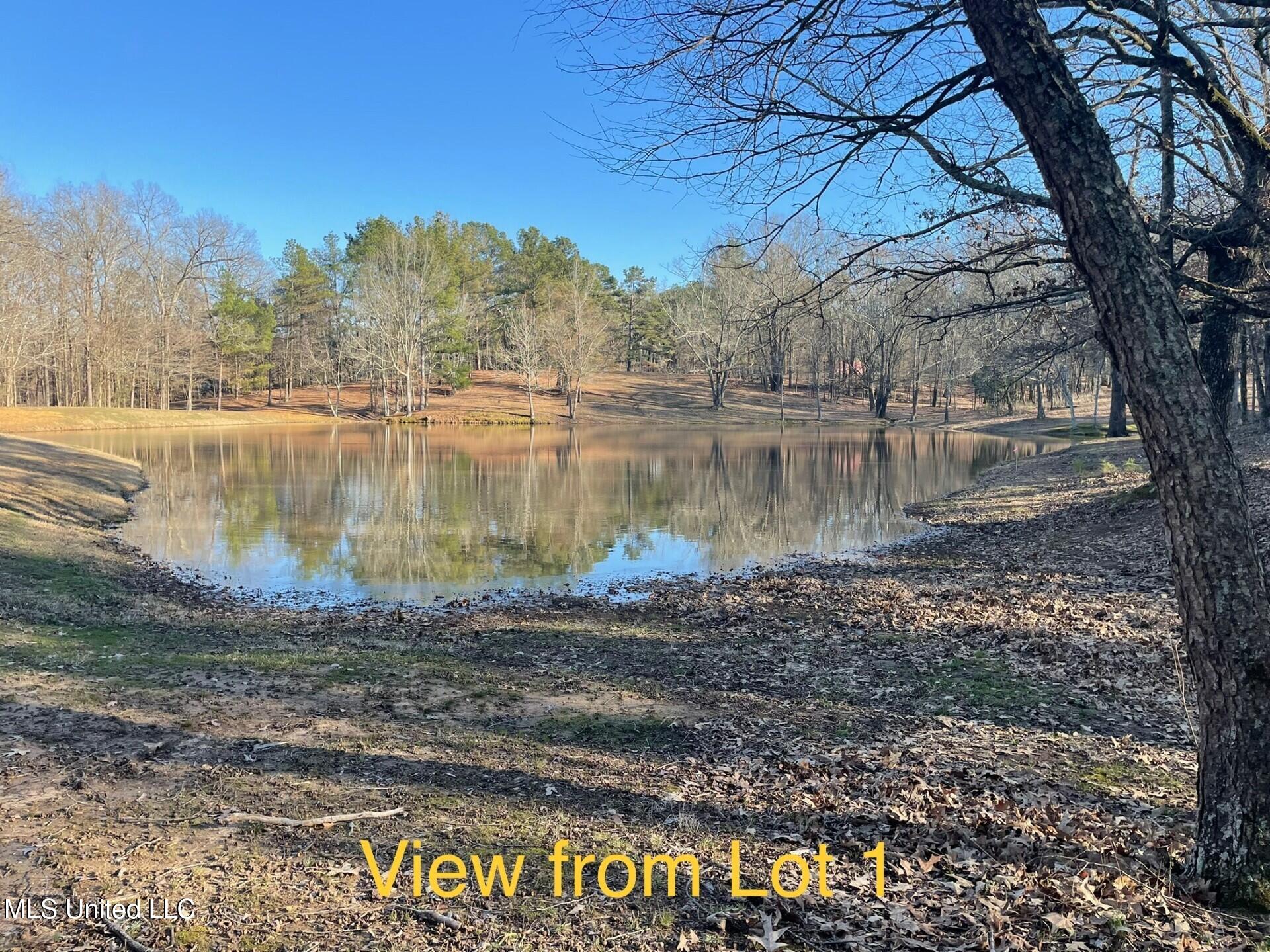 Lot 1 Woodlawn Road Property Photo 4