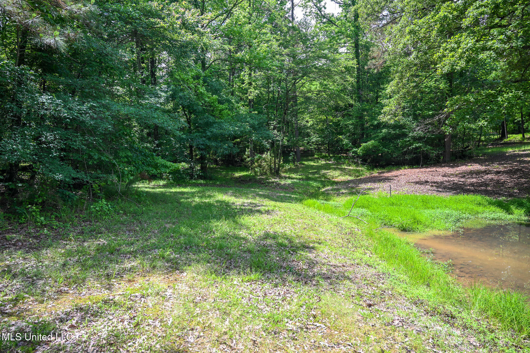Lot 1 Woodlawn Road Property Photo 6
