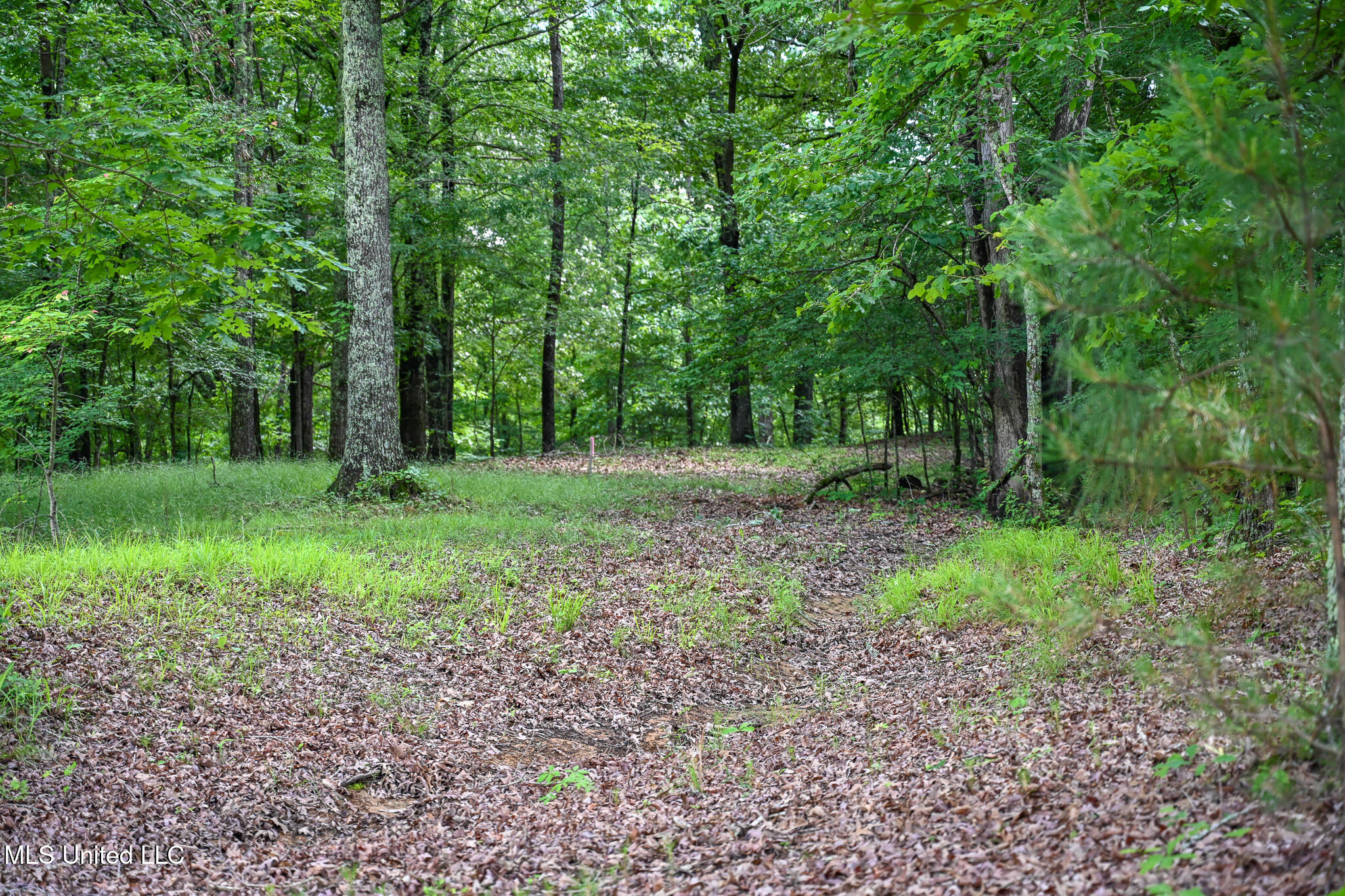 Lot 1 Woodlawn Road Property Photo 7