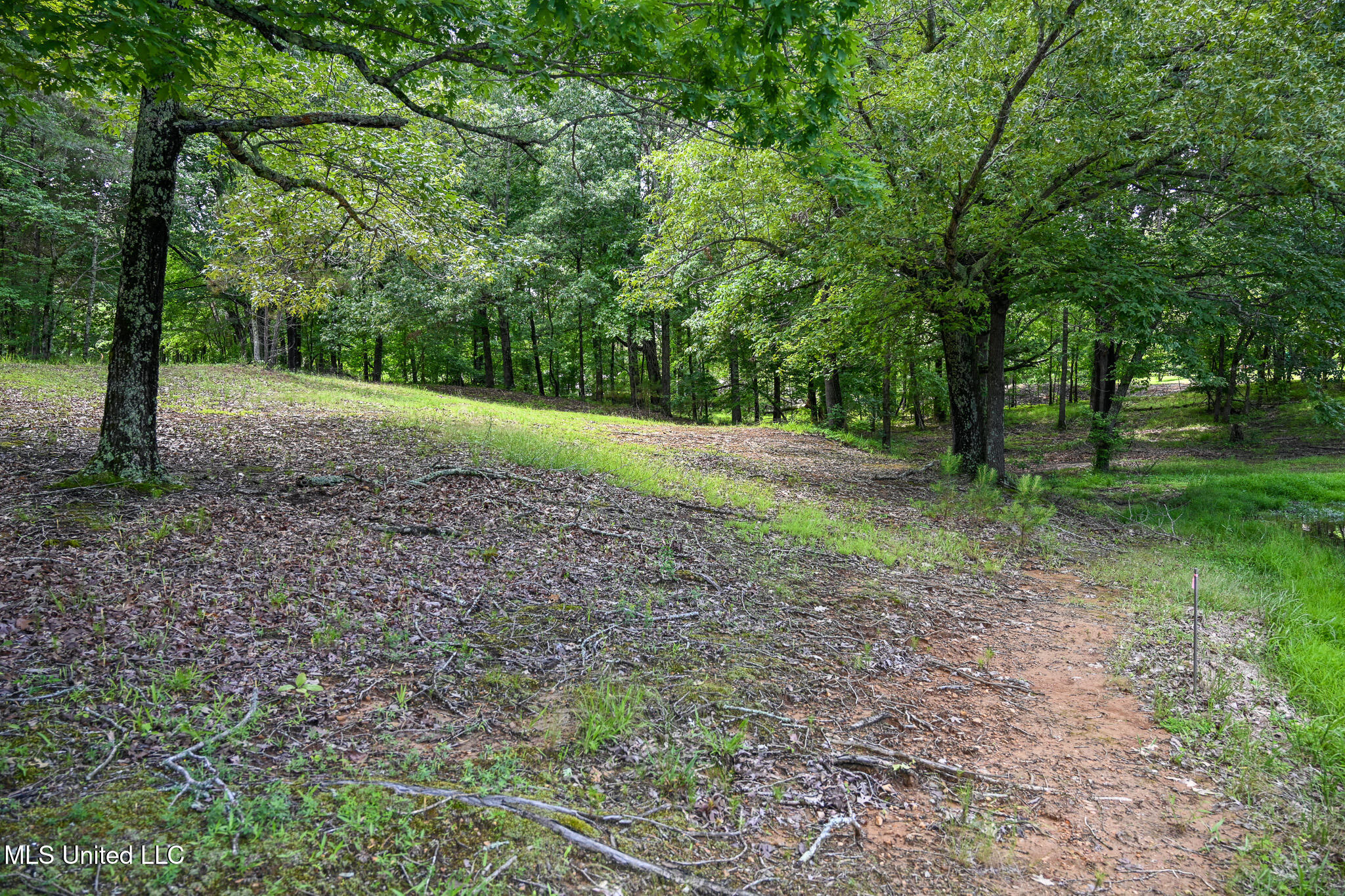 Lot 1 Woodlawn Road Property Photo 8