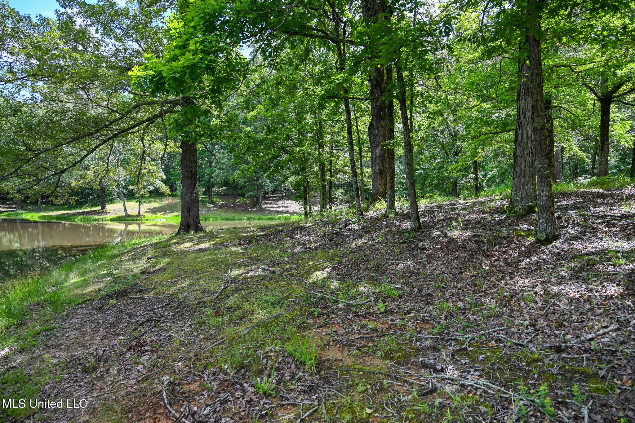 Lot 1 Woodlawn Road Property Photo 9