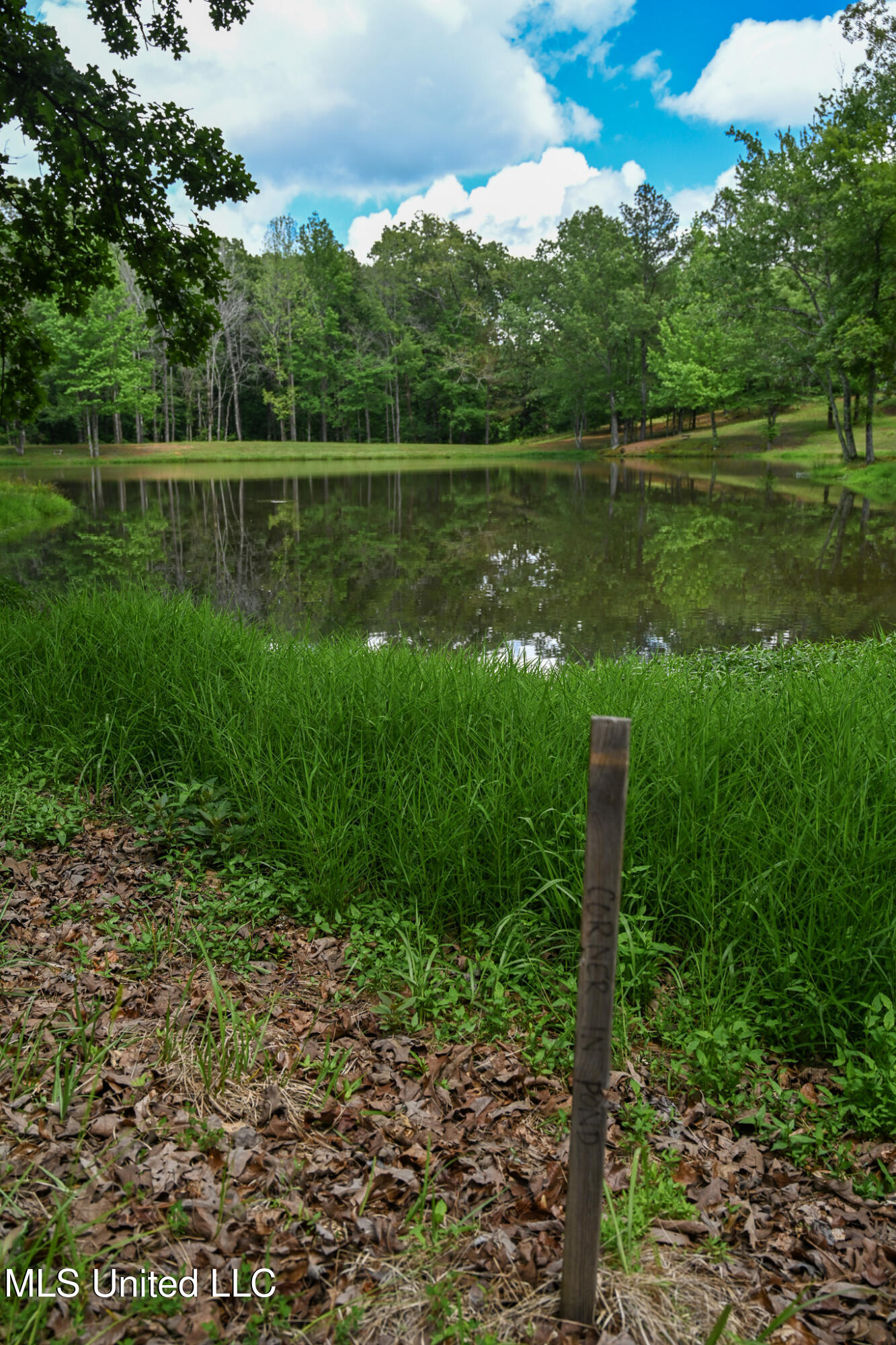 Lot 2 Woodlawn Road Property Photo 7