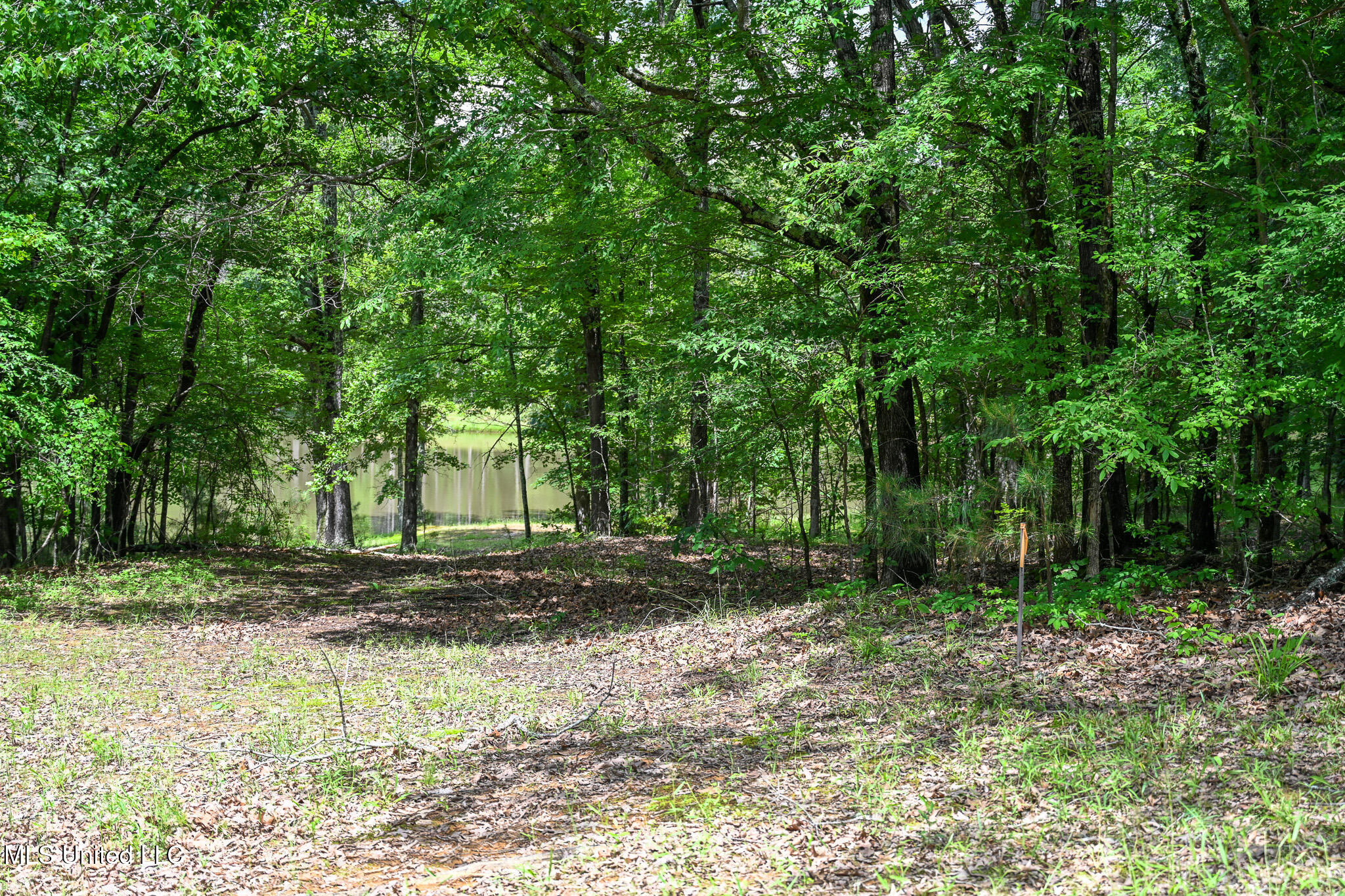 Lot 3 Woodlawn Road Property Photo 4