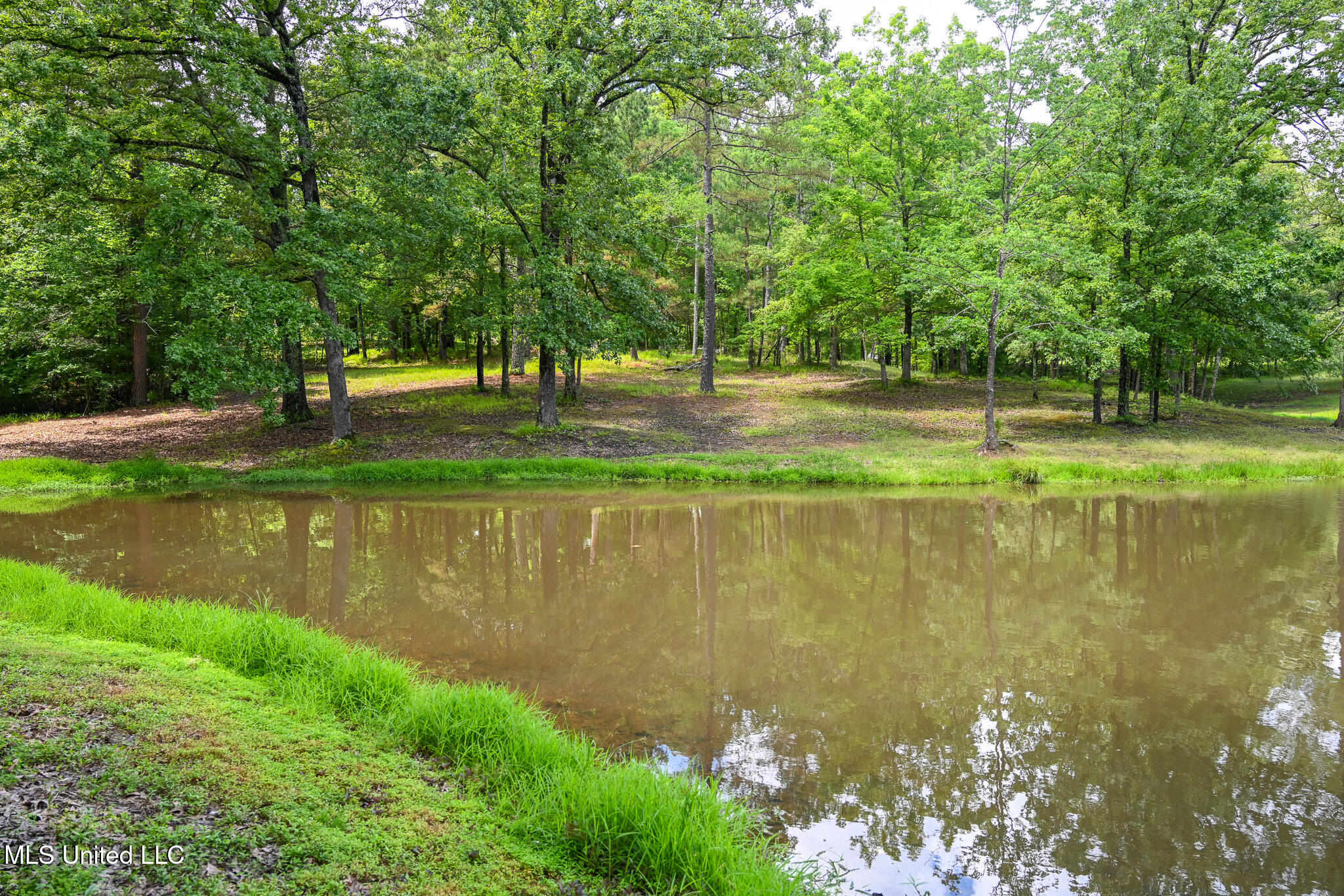 Lot 3 Woodlawn Road Property Photo 5