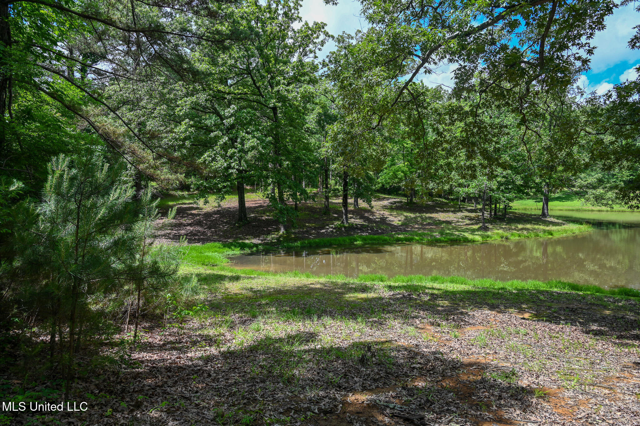 Lot 3 Woodlawn Road Property Photo 7