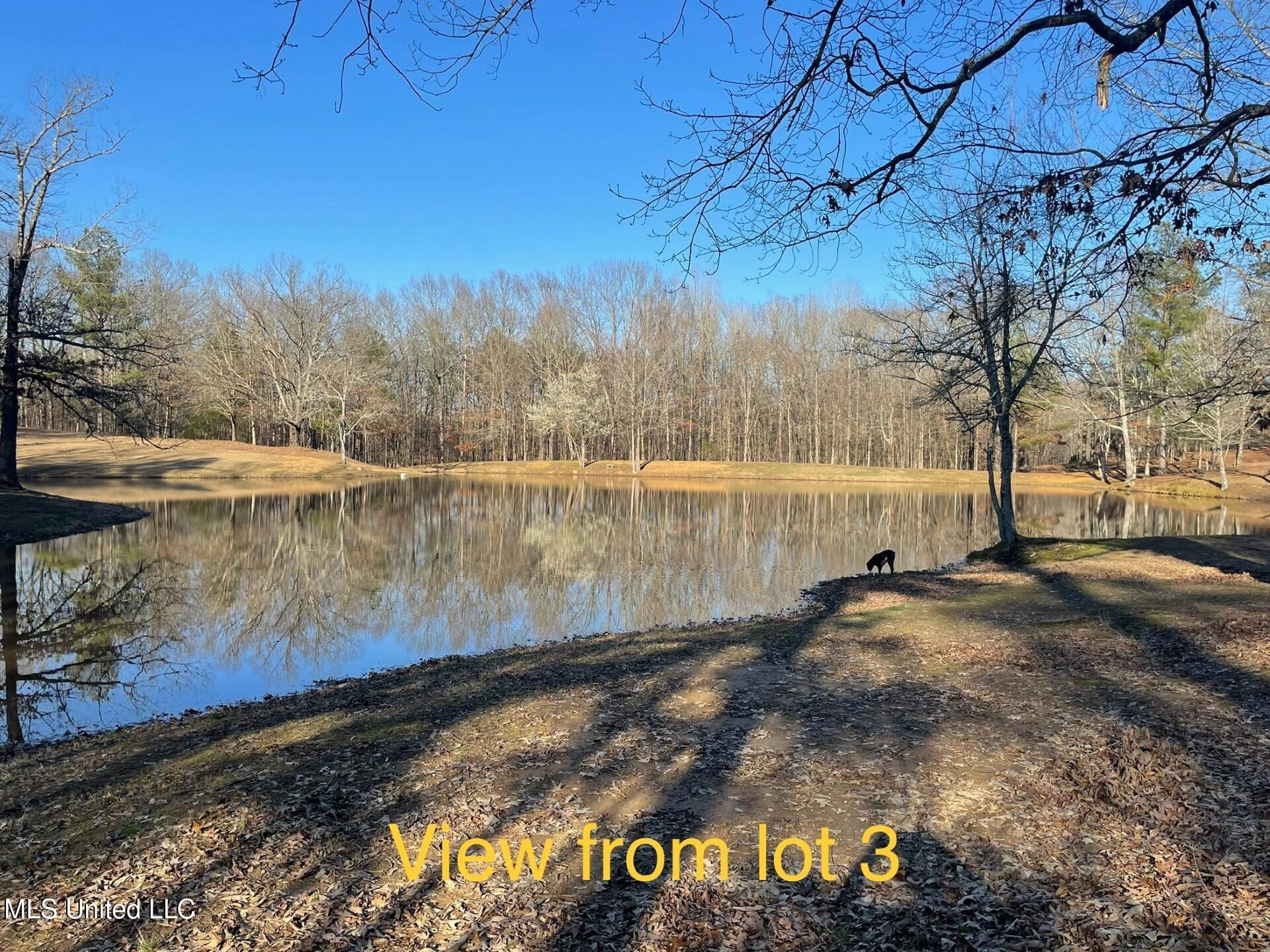 Lot 3 Woodlawn Road Property Photo 8