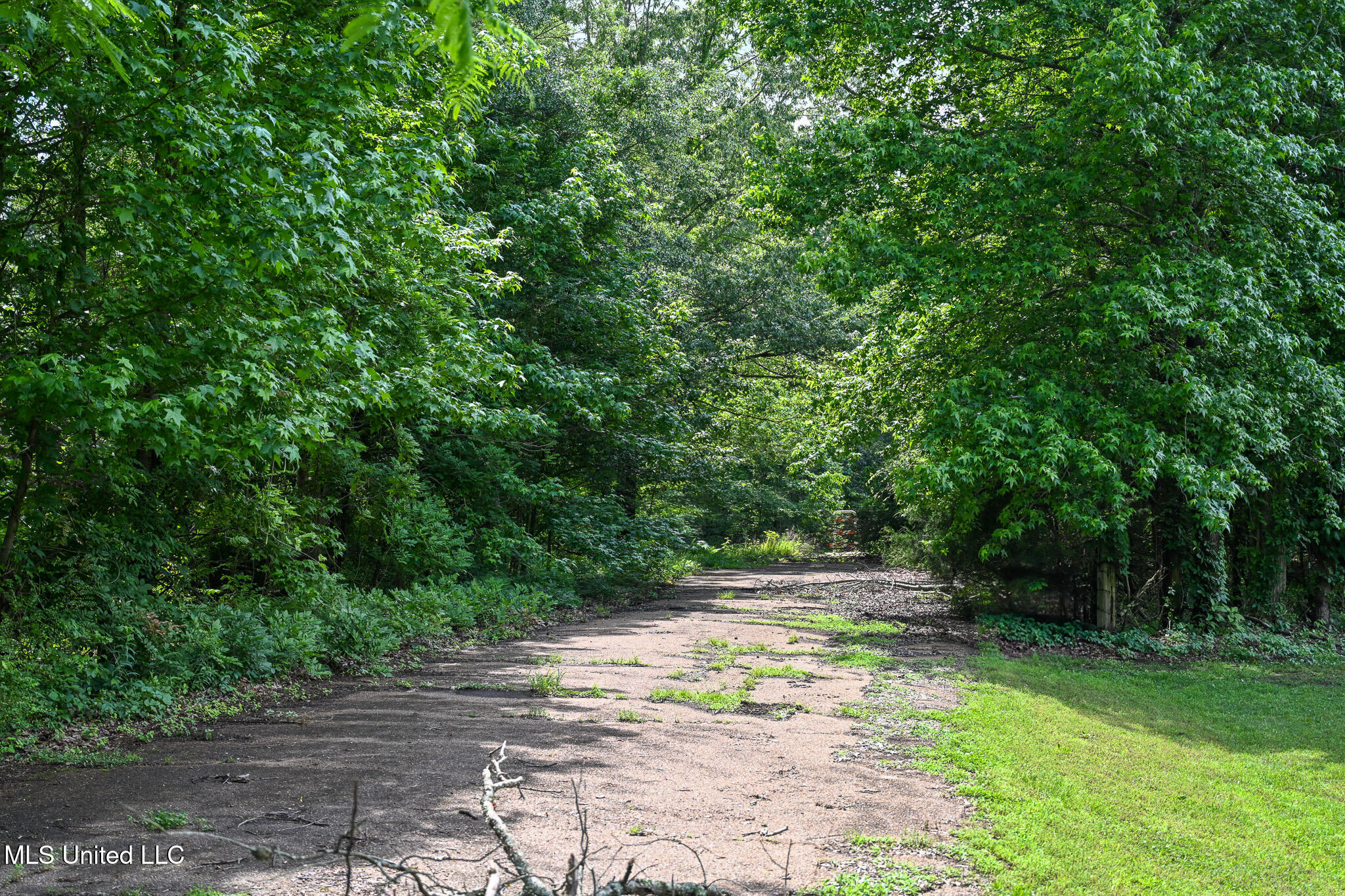 Jason Way Lane Property Photo 6