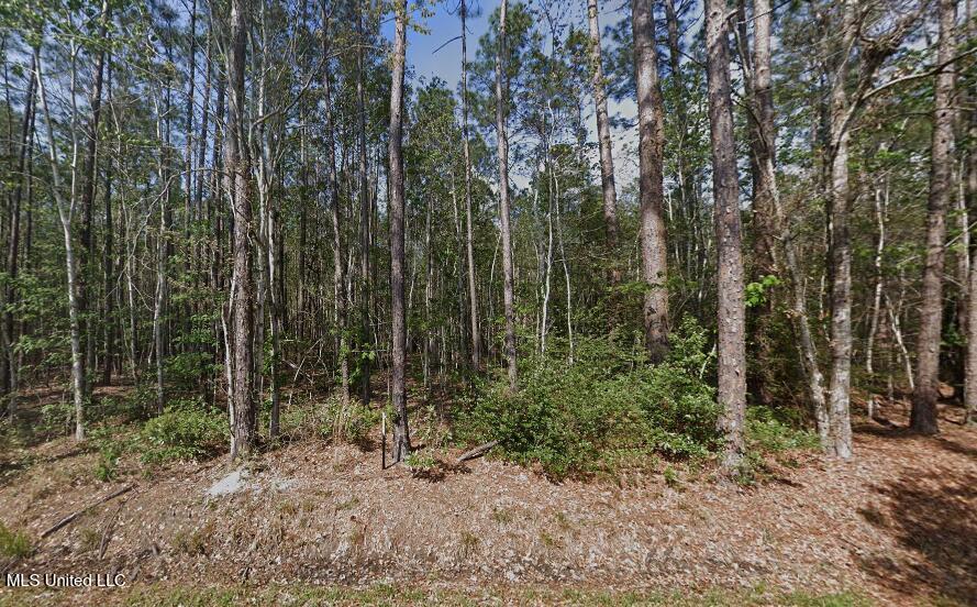 0 Orange Street Property Photo 1