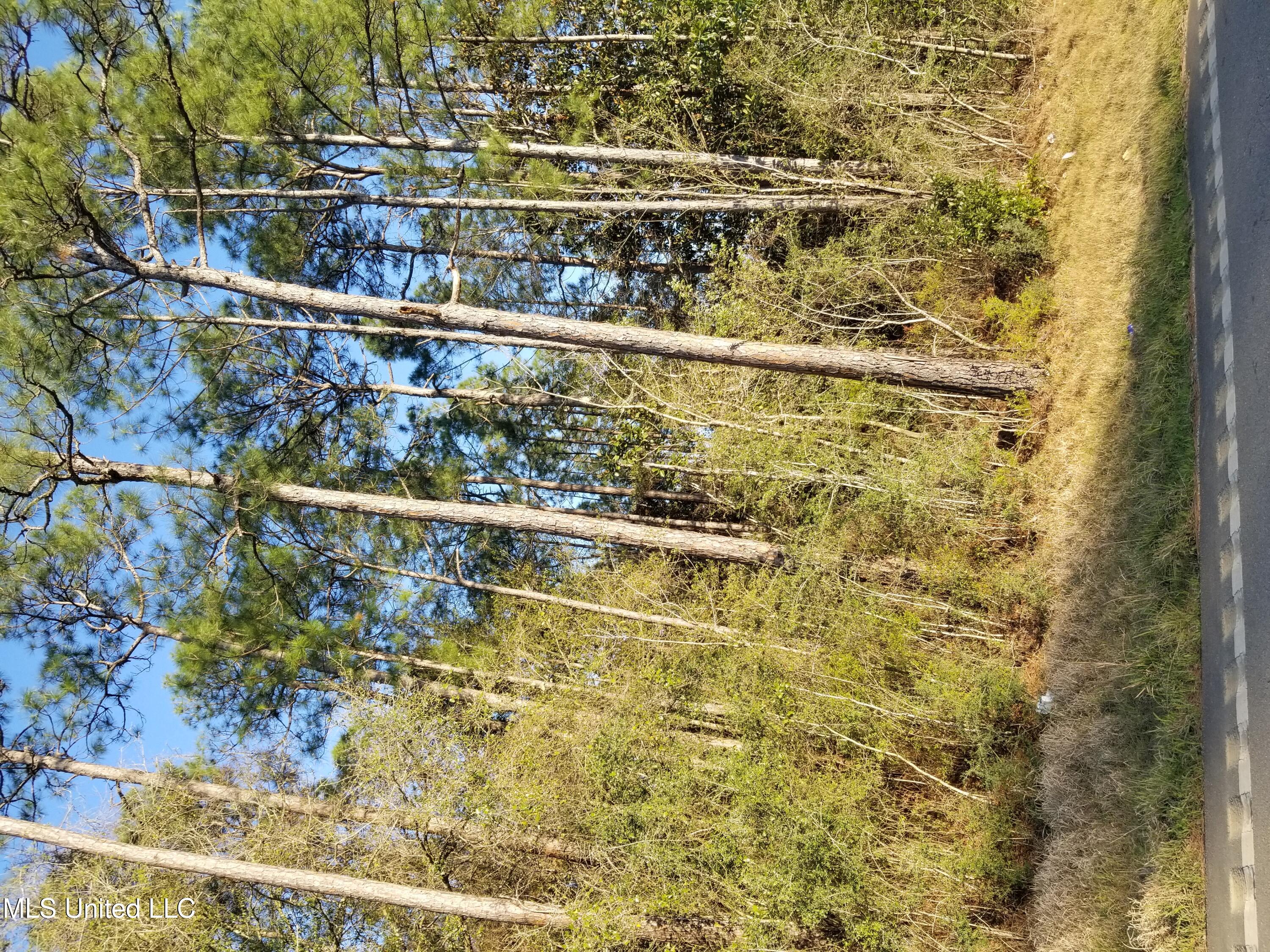 Ocean Springs Road Property Photo 1