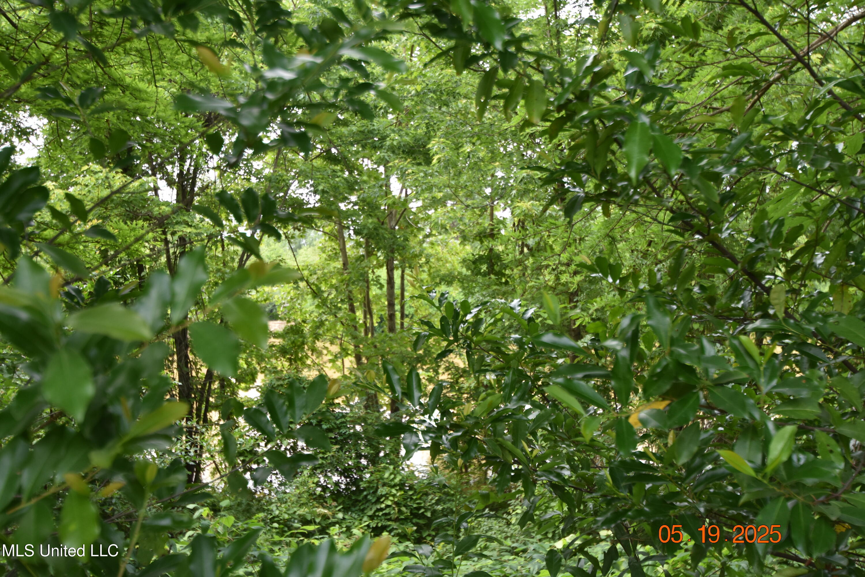 1303 River Road Property Photo 30