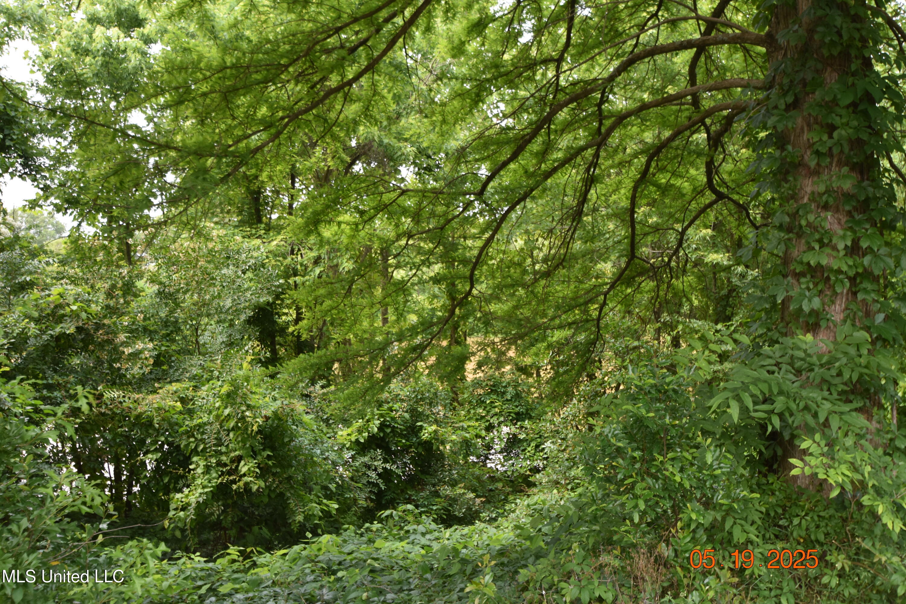 1303 River Road Property Photo 31