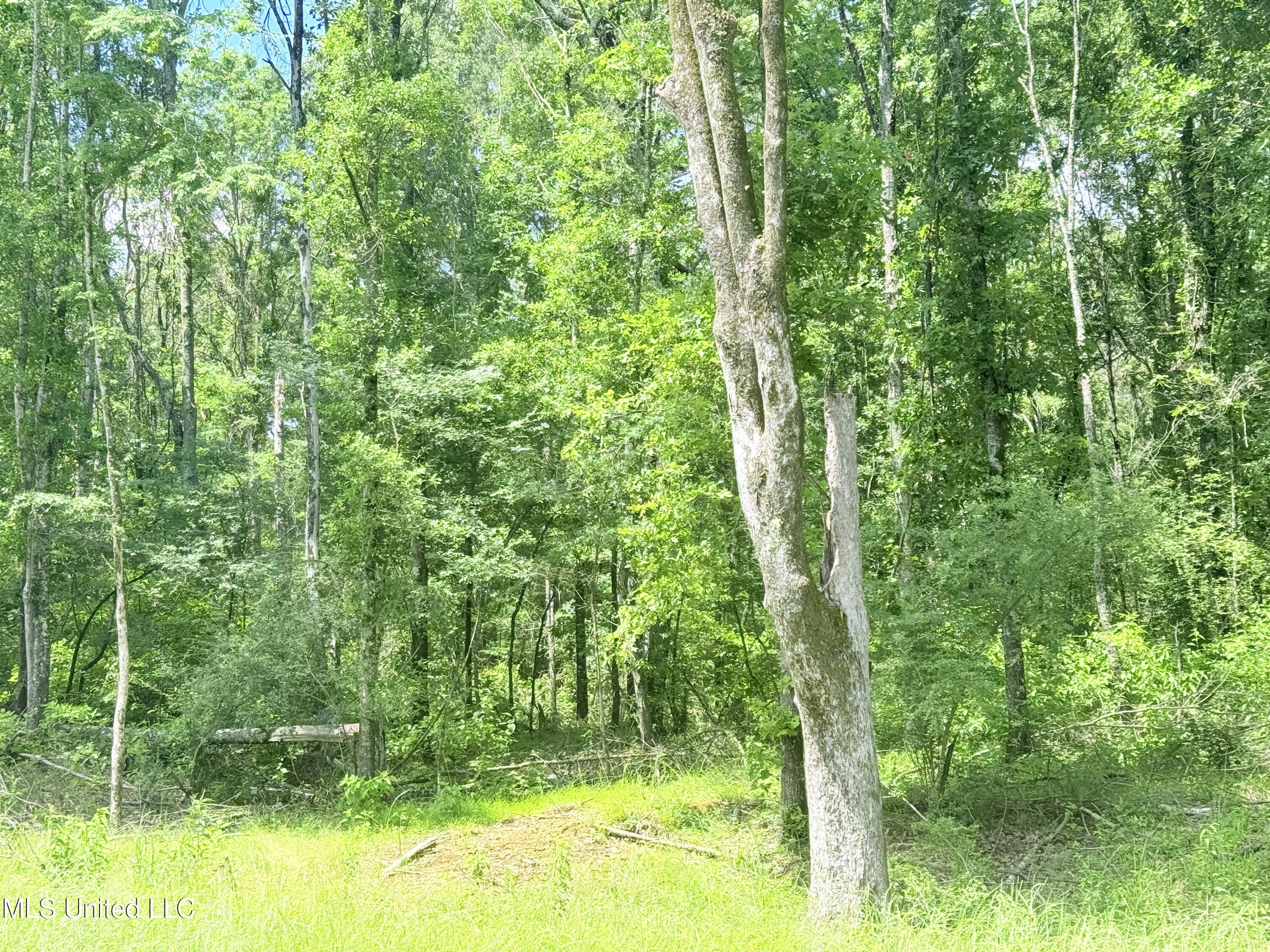 Stout Meadows Lane Property Photo 11