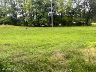 5376 Byhalia Road Property Photo 6