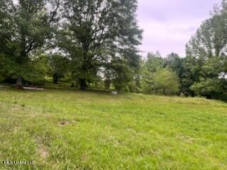 5376 Byhalia Road Property Photo 7