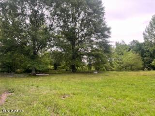 5376 Byhalia Road Property Photo 9