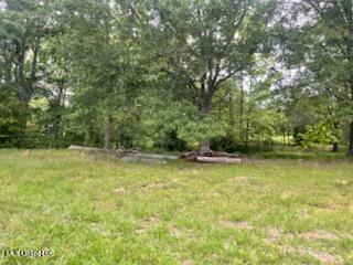 5376 Byhalia Road Property Photo 18