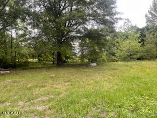 5376 Byhalia Road Property Photo 19