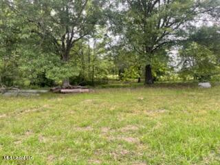 5376 Byhalia Road Property Photo 20