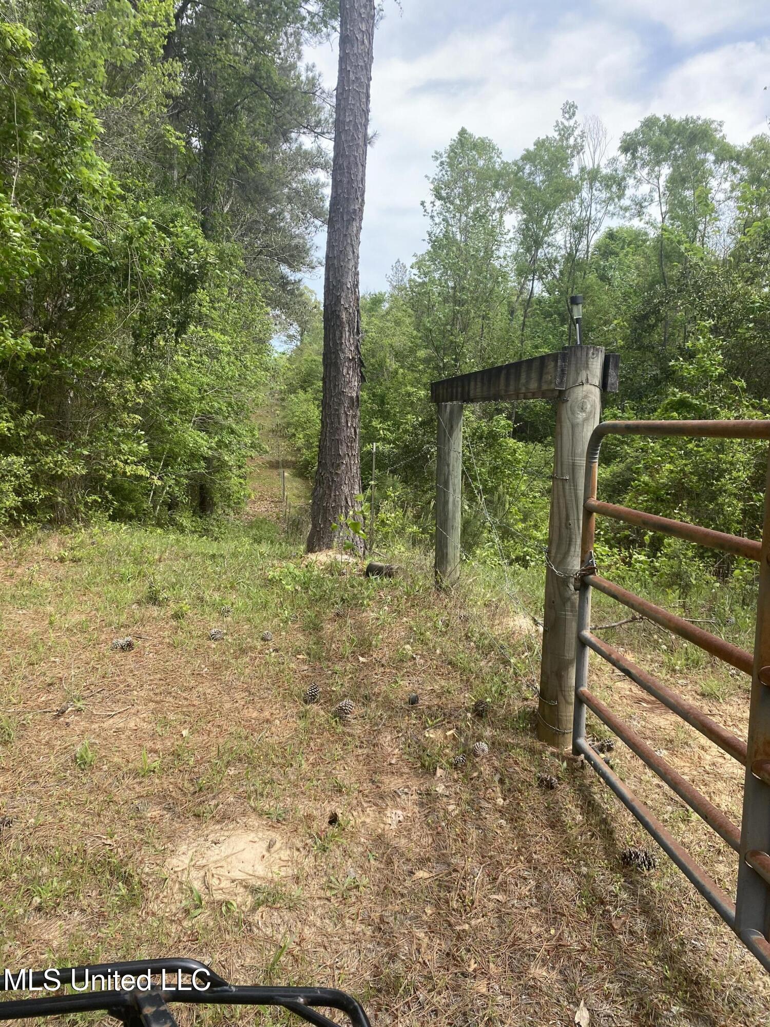 Bryant Lane Property Photo 4