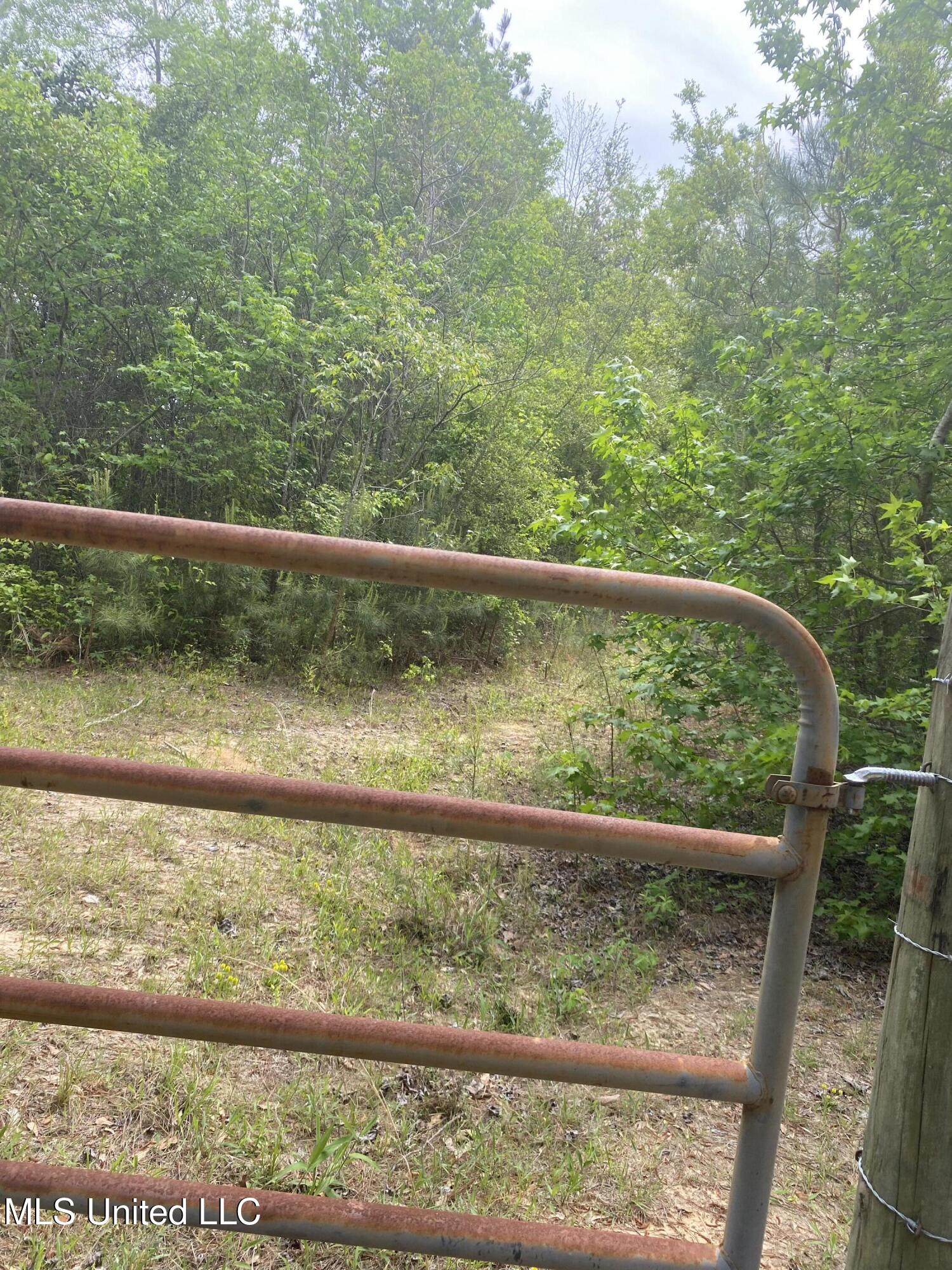 Bryant Lane Property Photo 5