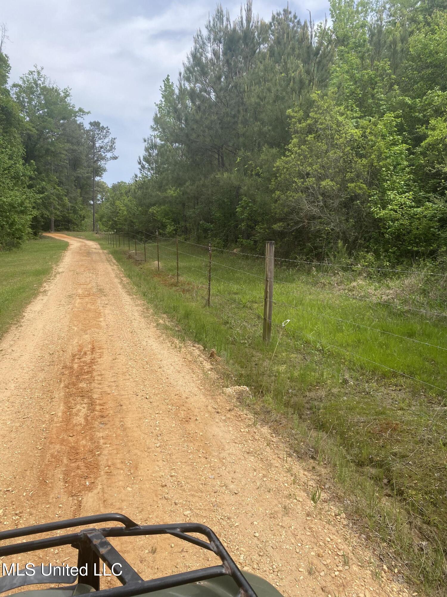 Bryant Lane Property Photo 6
