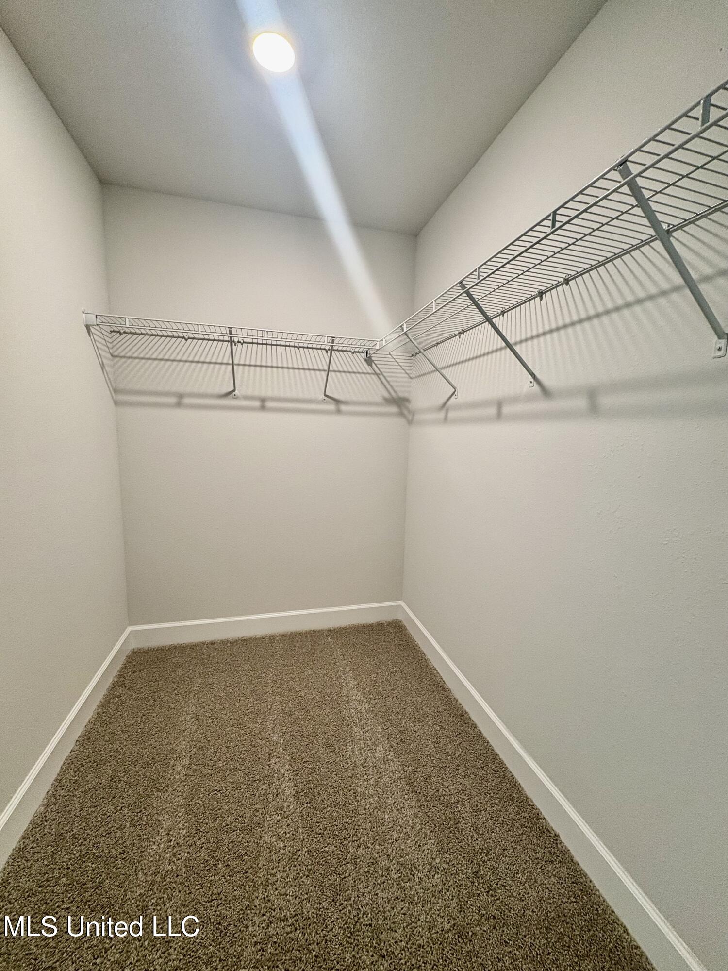18051 Tiffany Renee Drive Property Photo 14