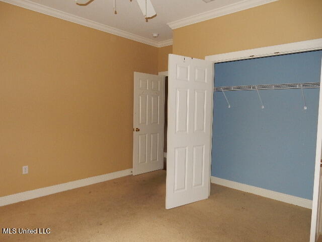 8 Auburn Lane Property Photo 22