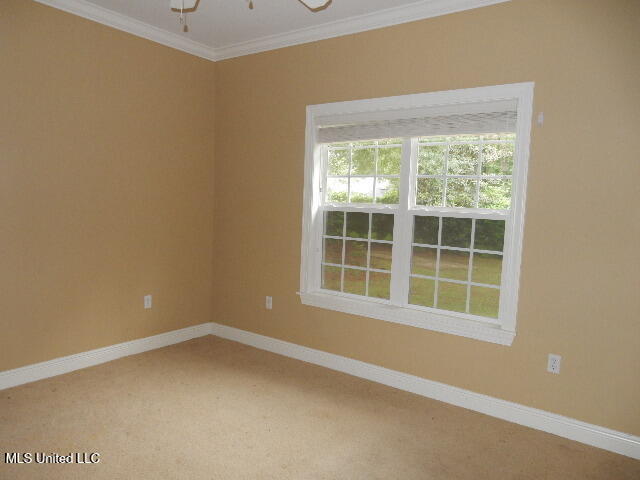 8 Auburn Lane Property Photo 23