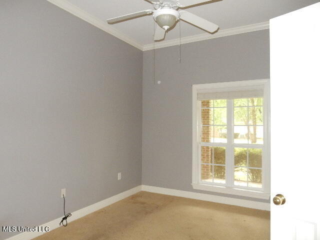 8 Auburn Lane Property Photo 25