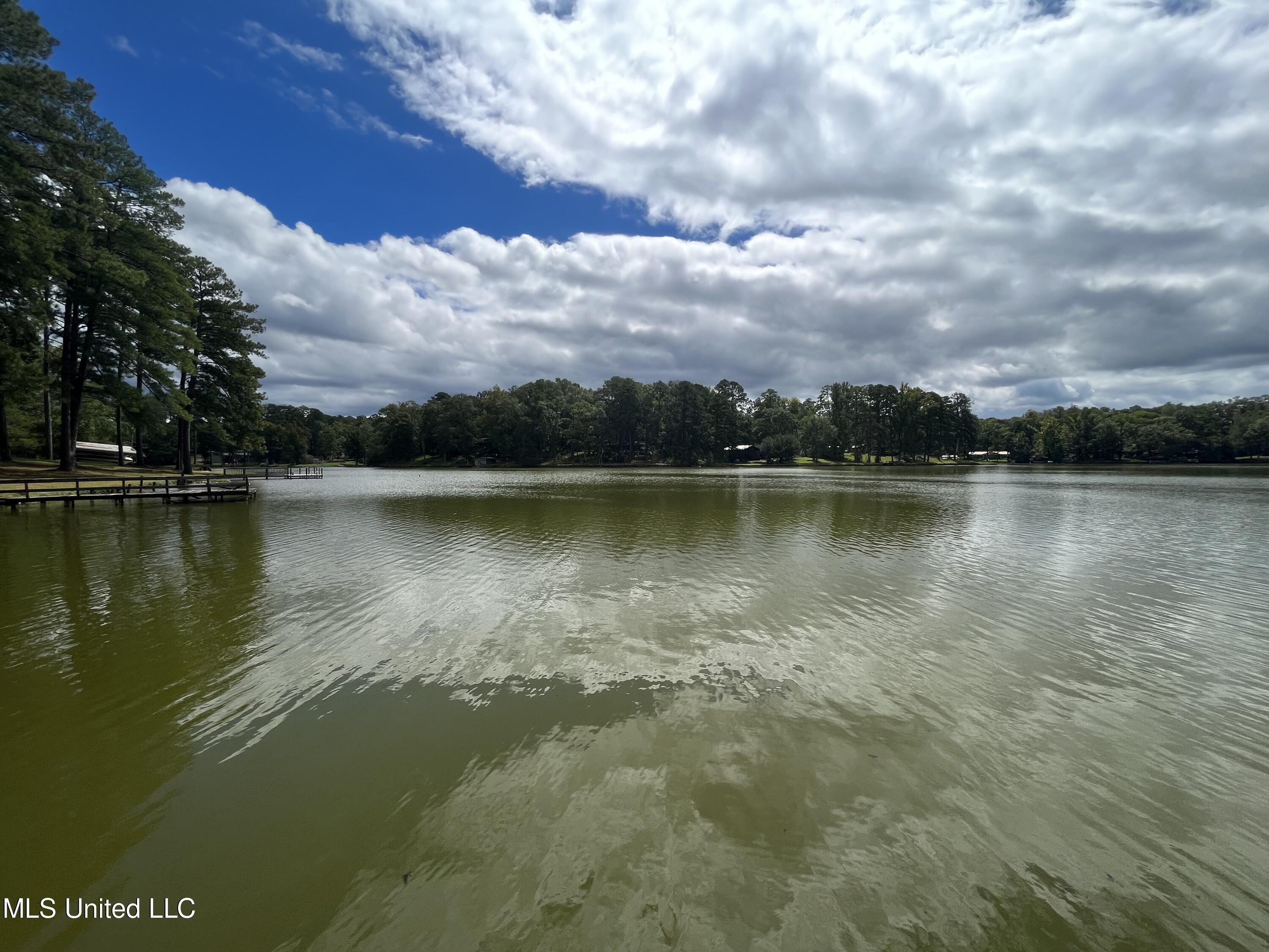 115 Lakeland Drive Property Photo 28