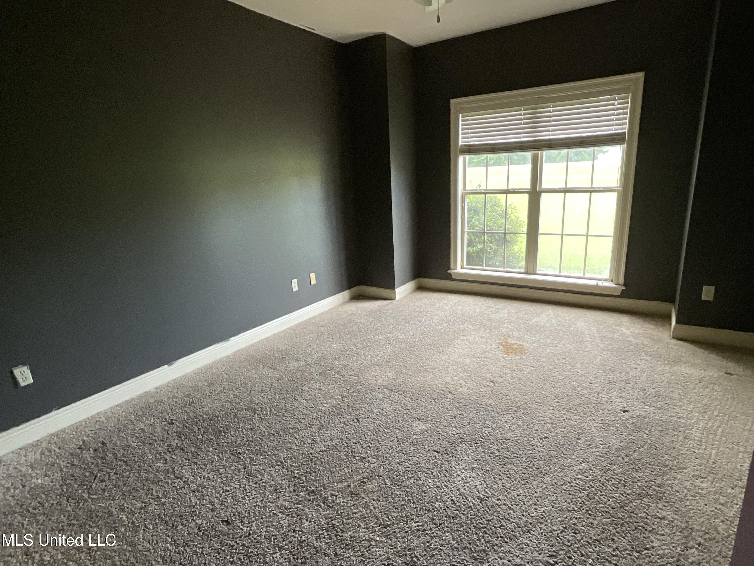 221 Pearlie Owens Drive Property Photo 9