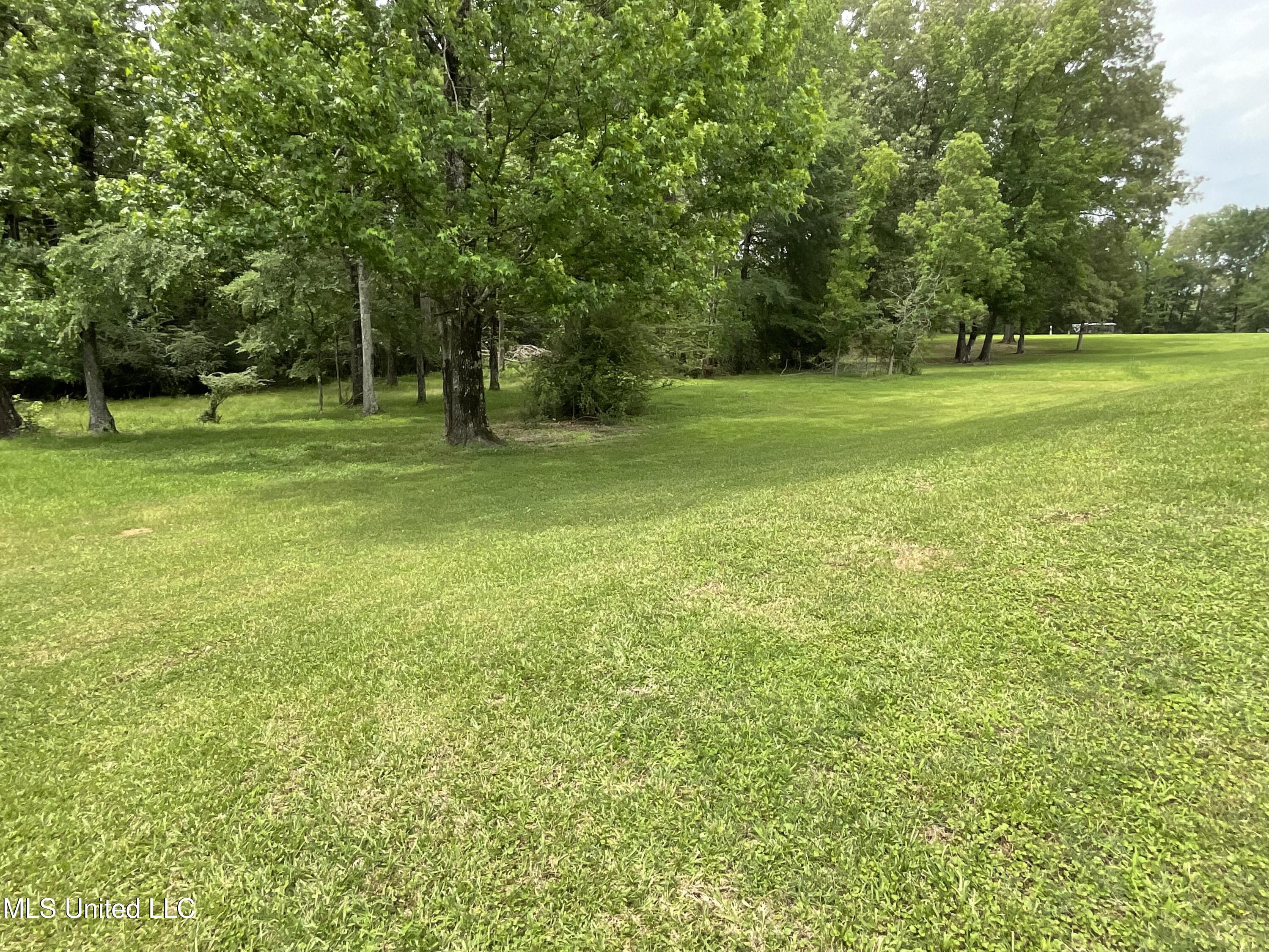 221 Pearlie Owens Drive Property Photo 21