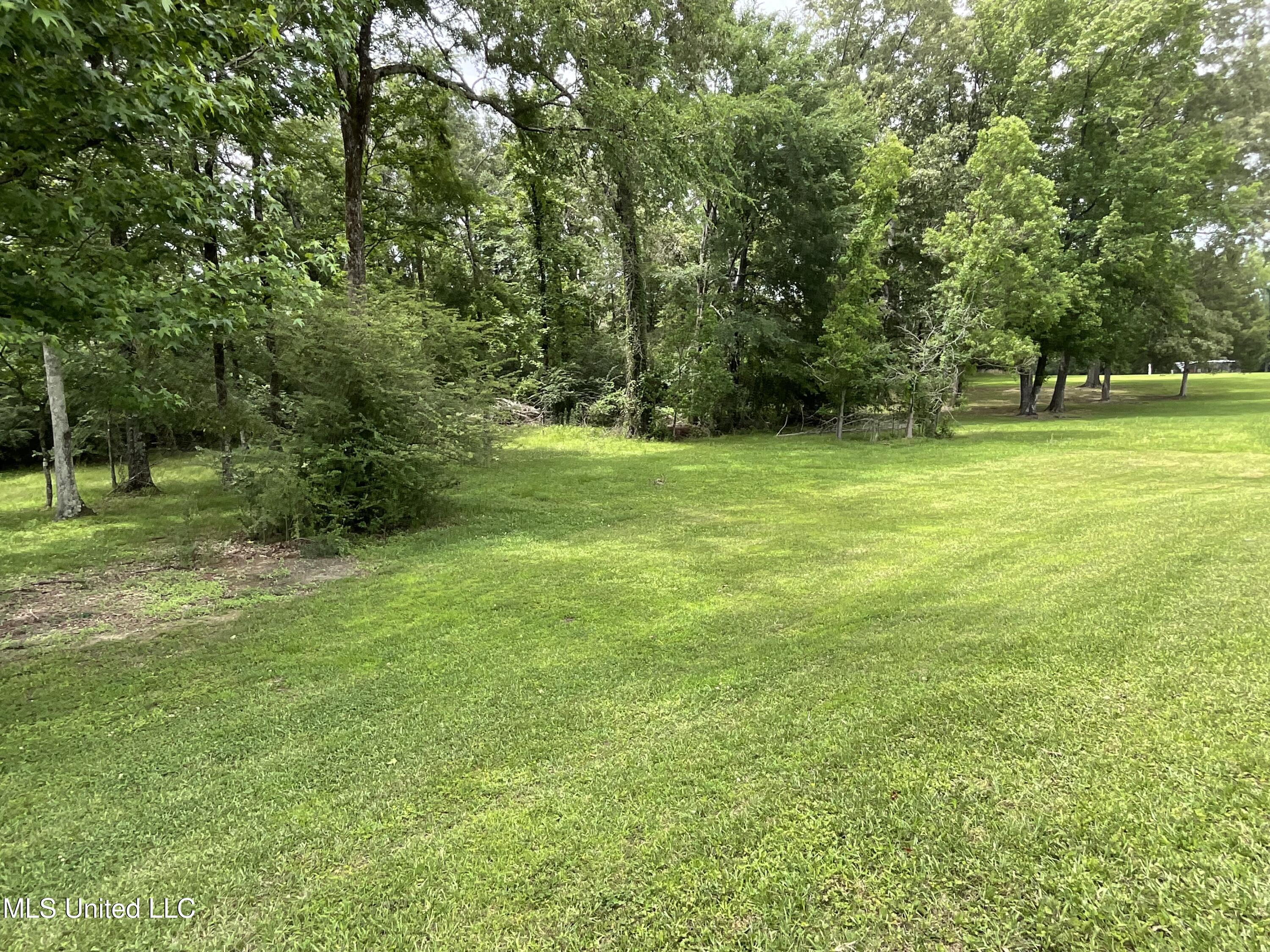 221 Pearlie Owens Drive Property Photo 23