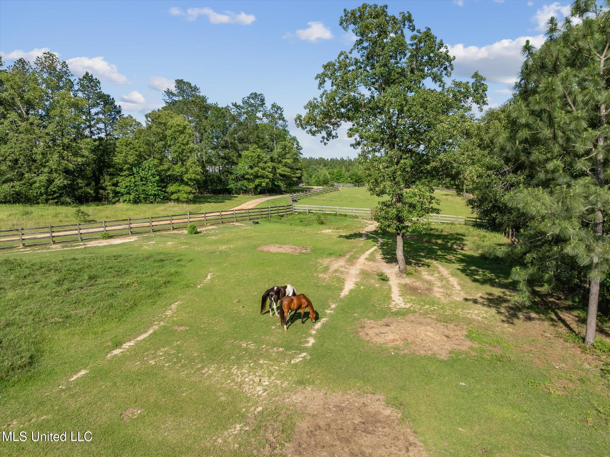 266 W.p.a Road N Road Property Photo 6