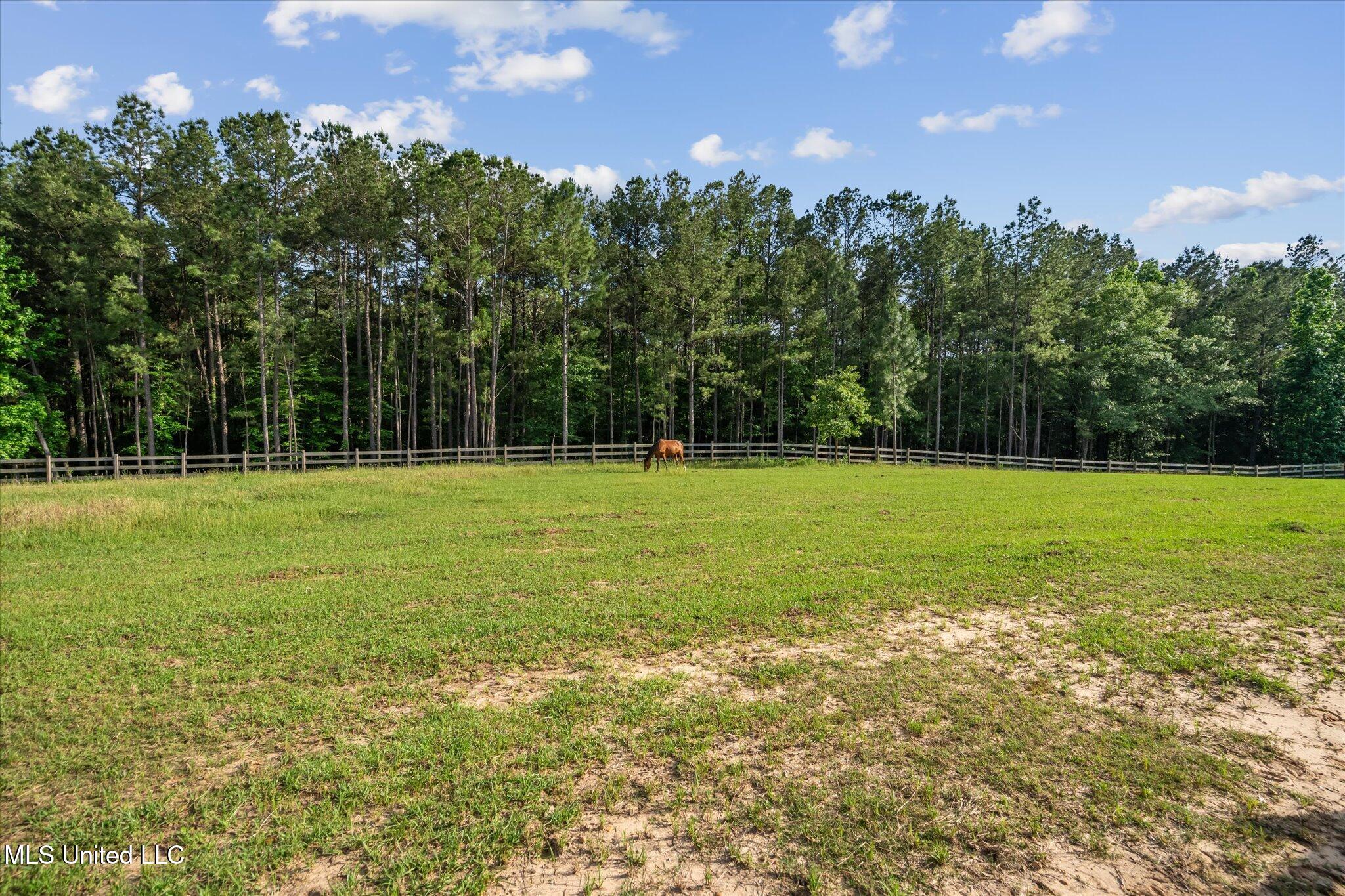 266 W.p.a Road N Road Property Photo 78