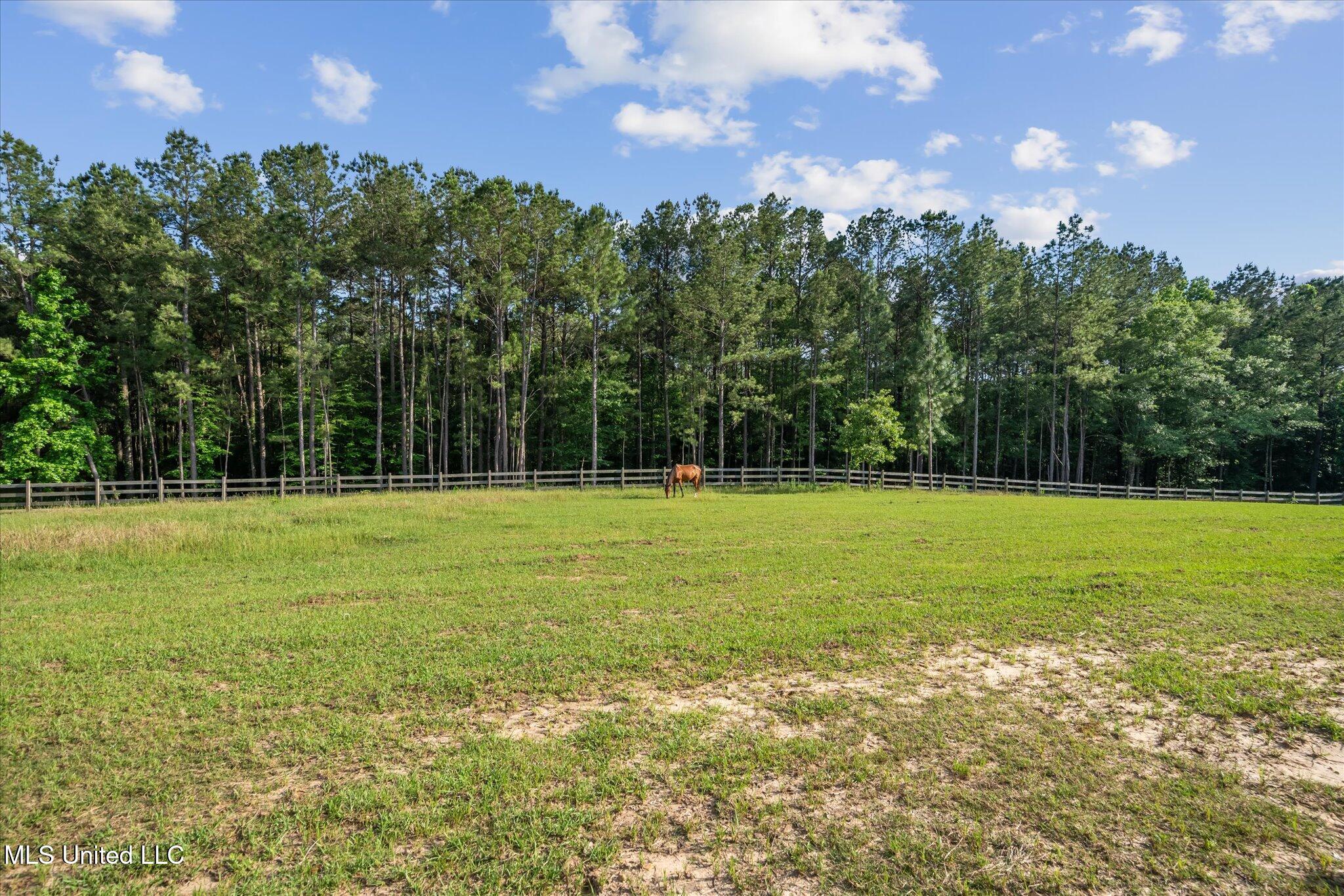266 W.p.a Road N Road Property Photo 82