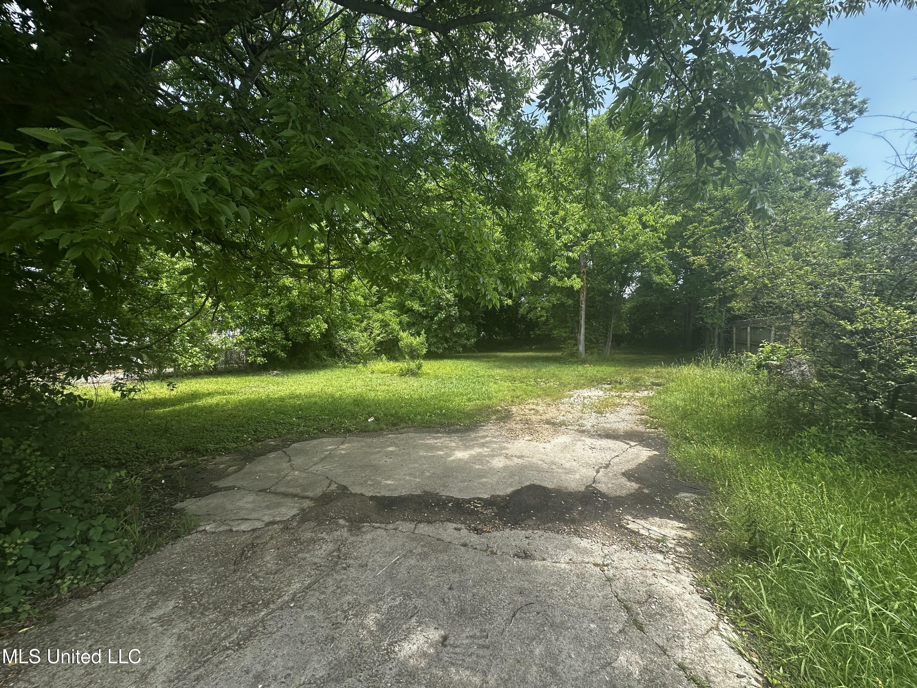 633 Vine Street Property Photo 6