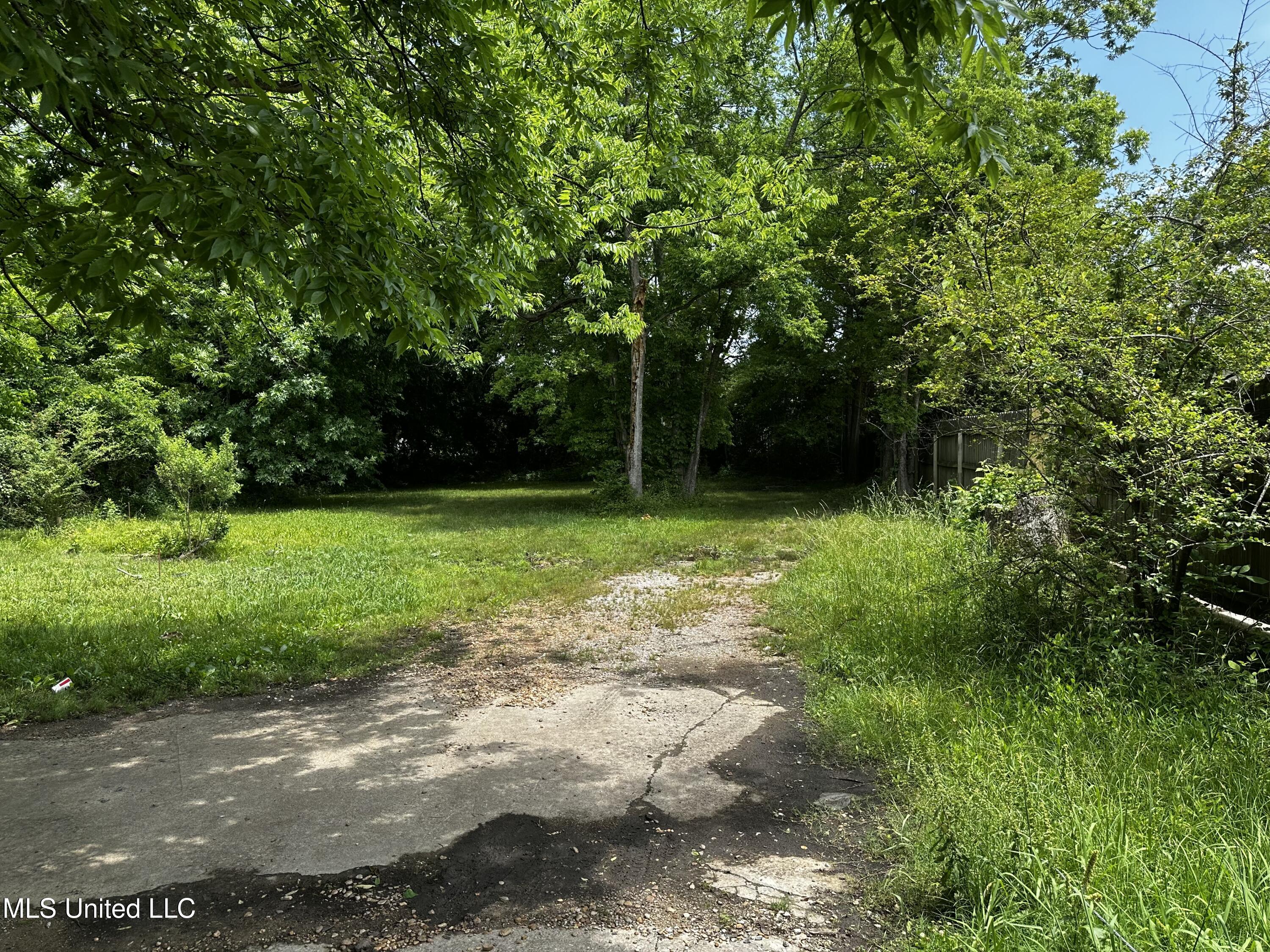 633 Vine Street Property Photo 8