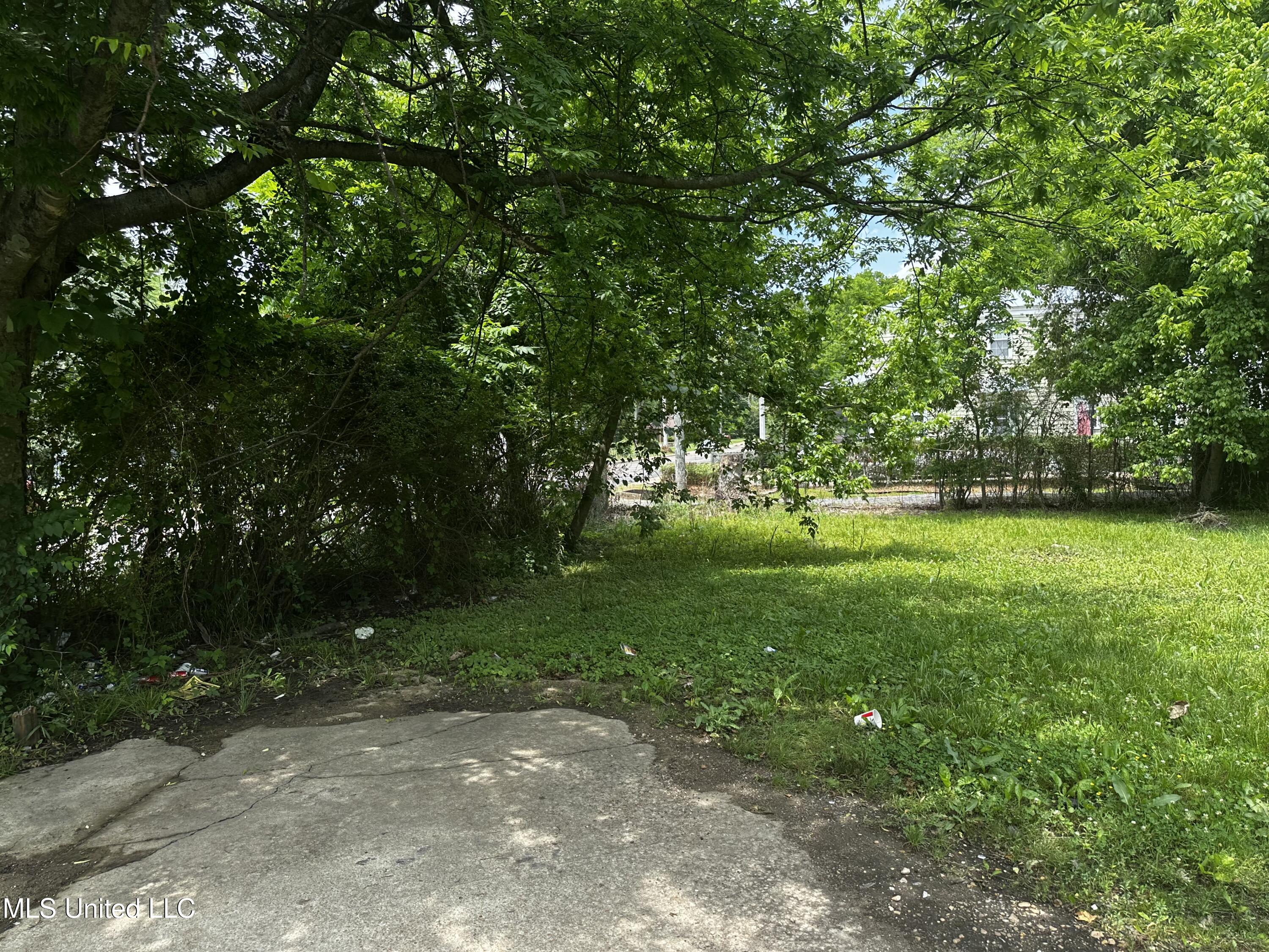 633 Vine Street Property Photo 10