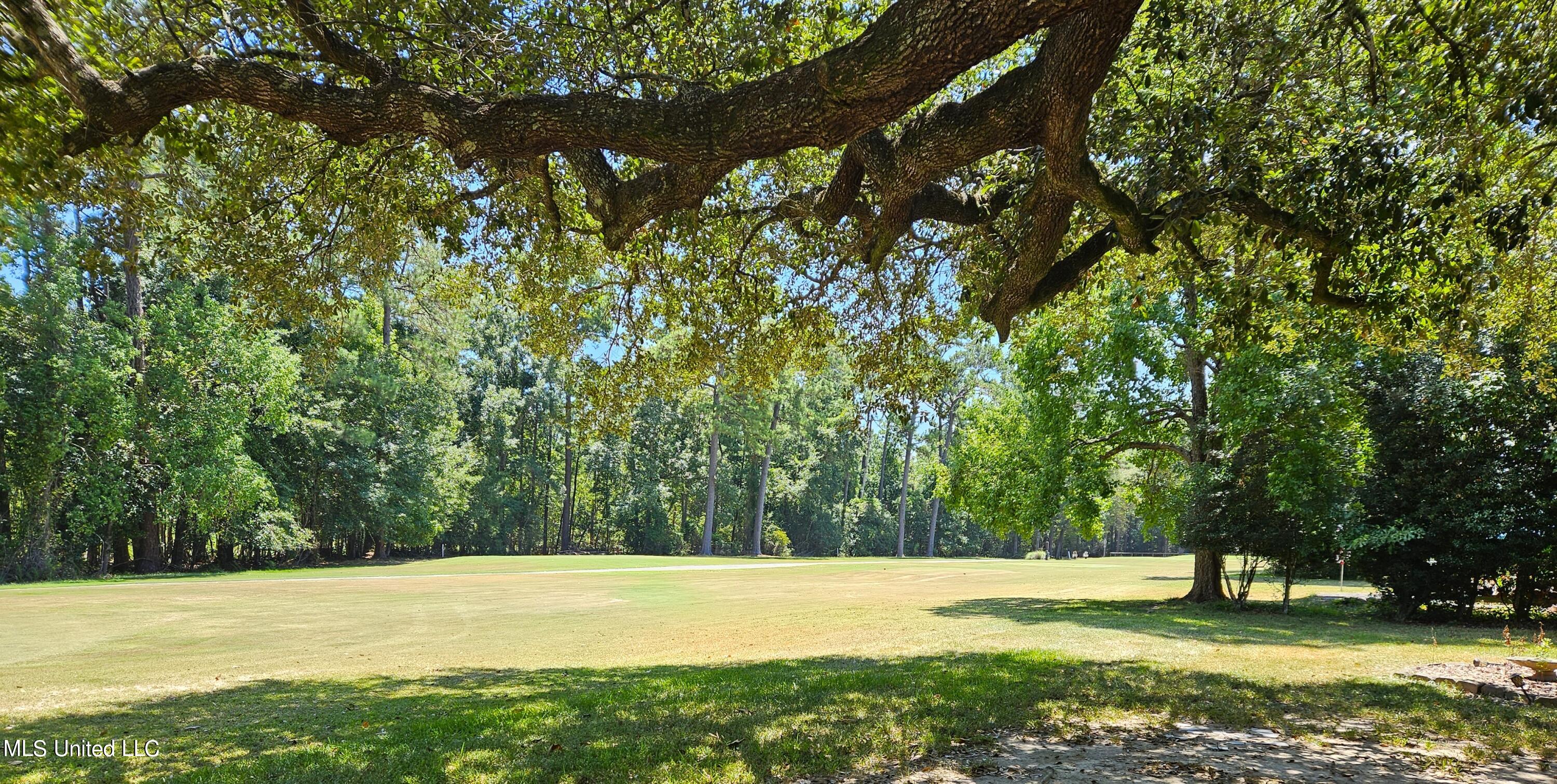 74607 N Diamondhead Drive Property Photo 25