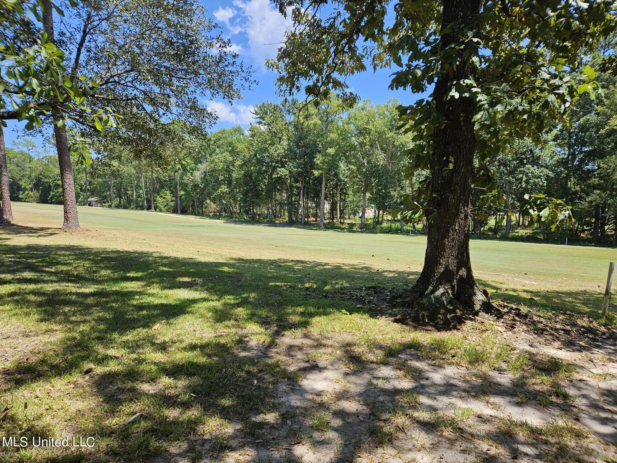 74607 N Diamondhead Drive Property Photo 26