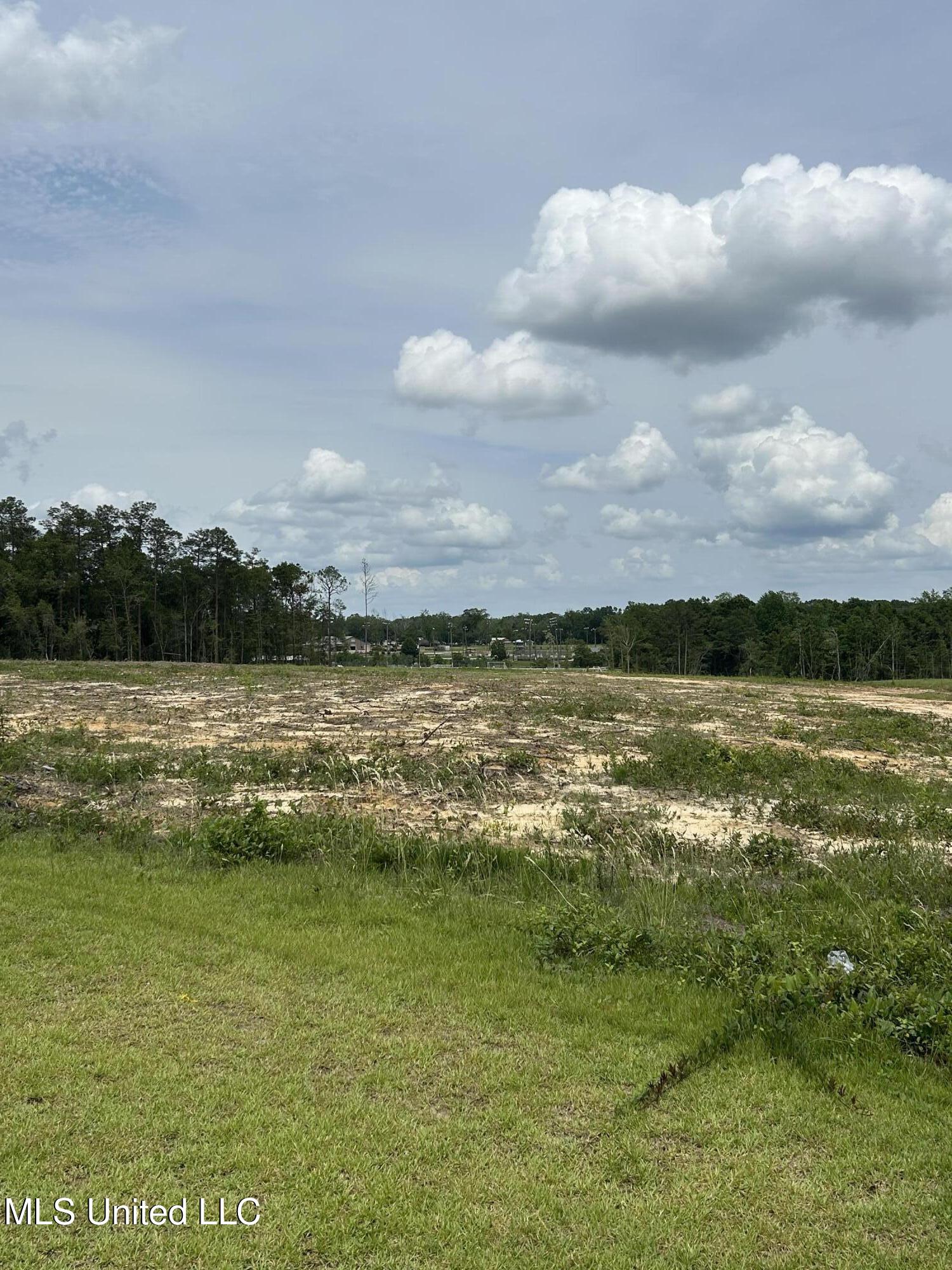 1 Ac Old Hwy 63 S Parcel 1 Property Photo 2