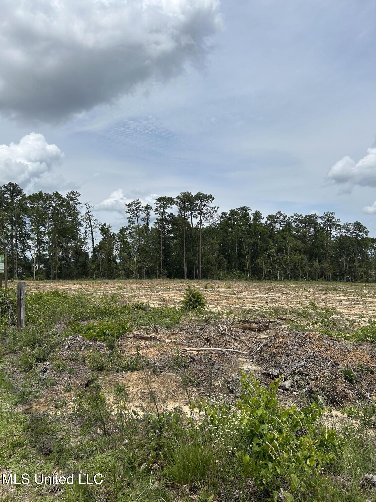 1 Ac Old Hwy 63 S Parcel 3 Property Photo 2